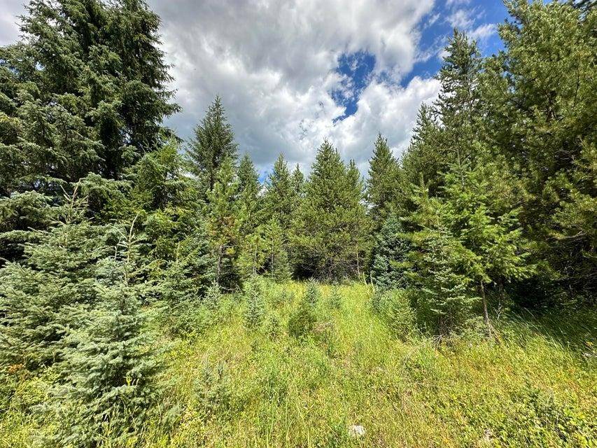 Address not disclosed, Colville, WA 99114