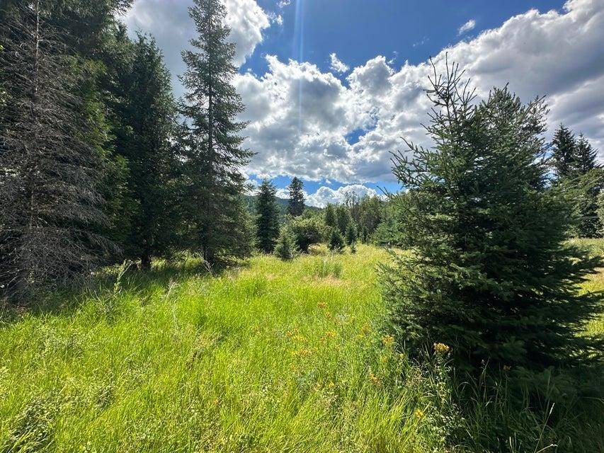 Address not disclosed, Colville, WA 99114