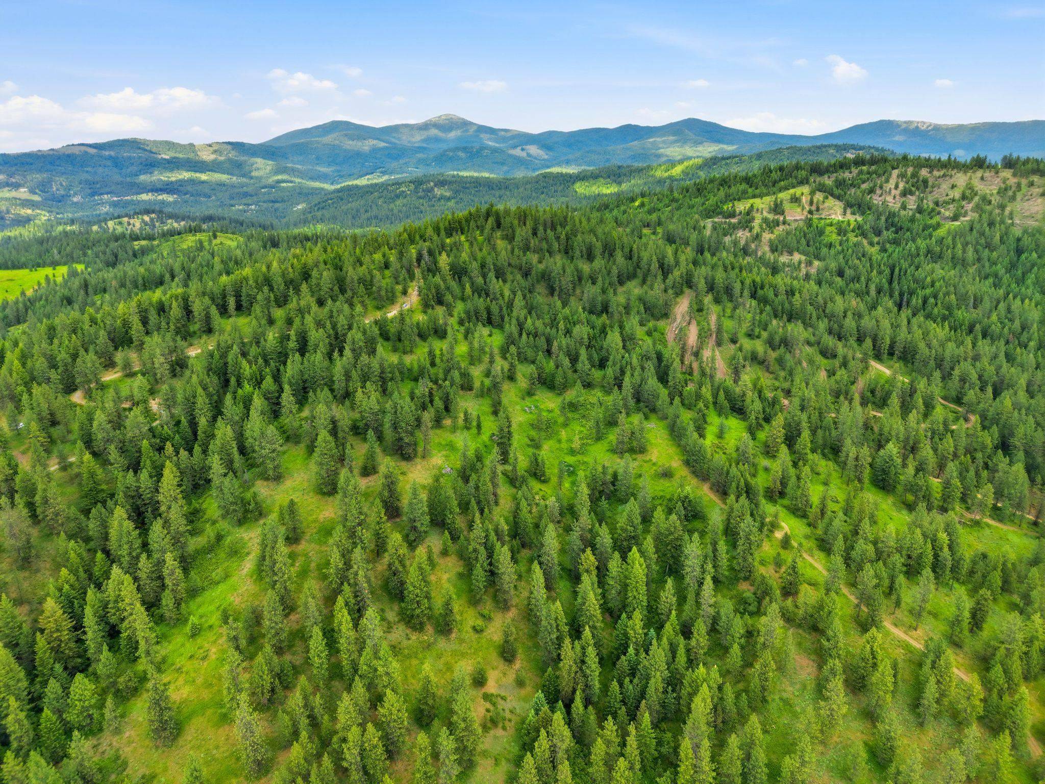 16301 N Scribner Branch Ln, Mead, WA 99217