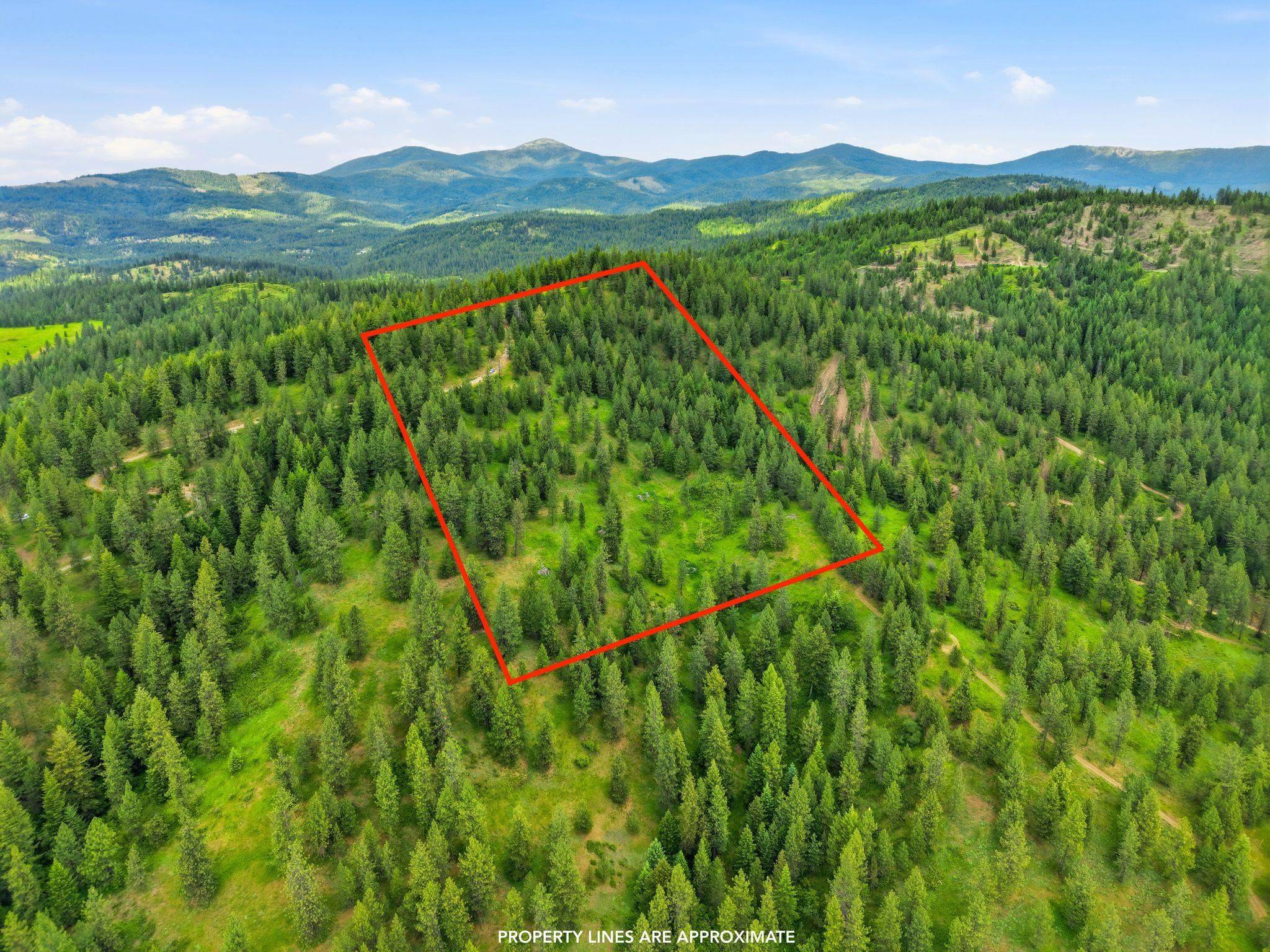 16301 N Scribner Branch Ln, Mead, WA 99217