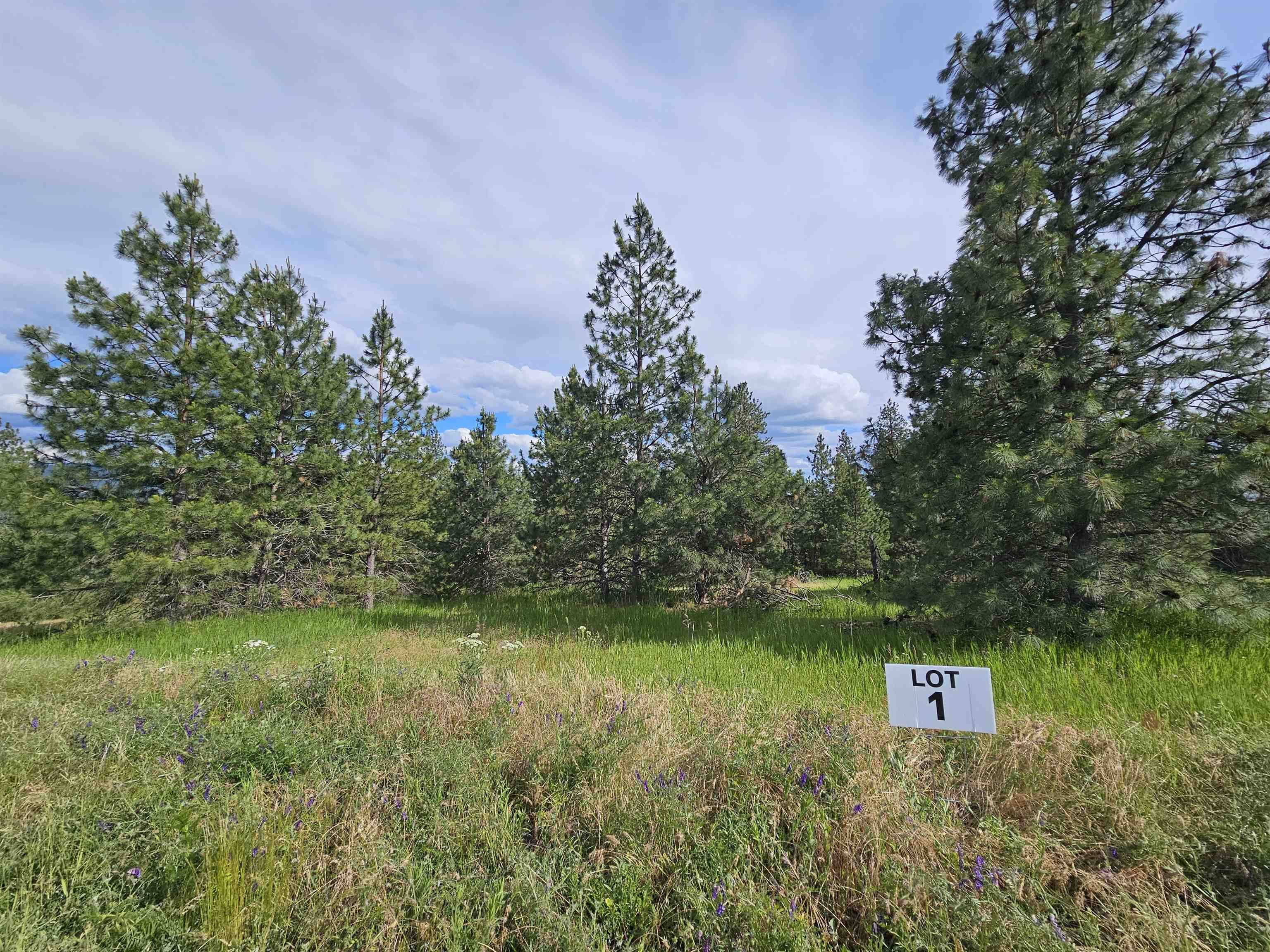 NNA S Sands Rd #Lot 1, Valleyford, WA 99036