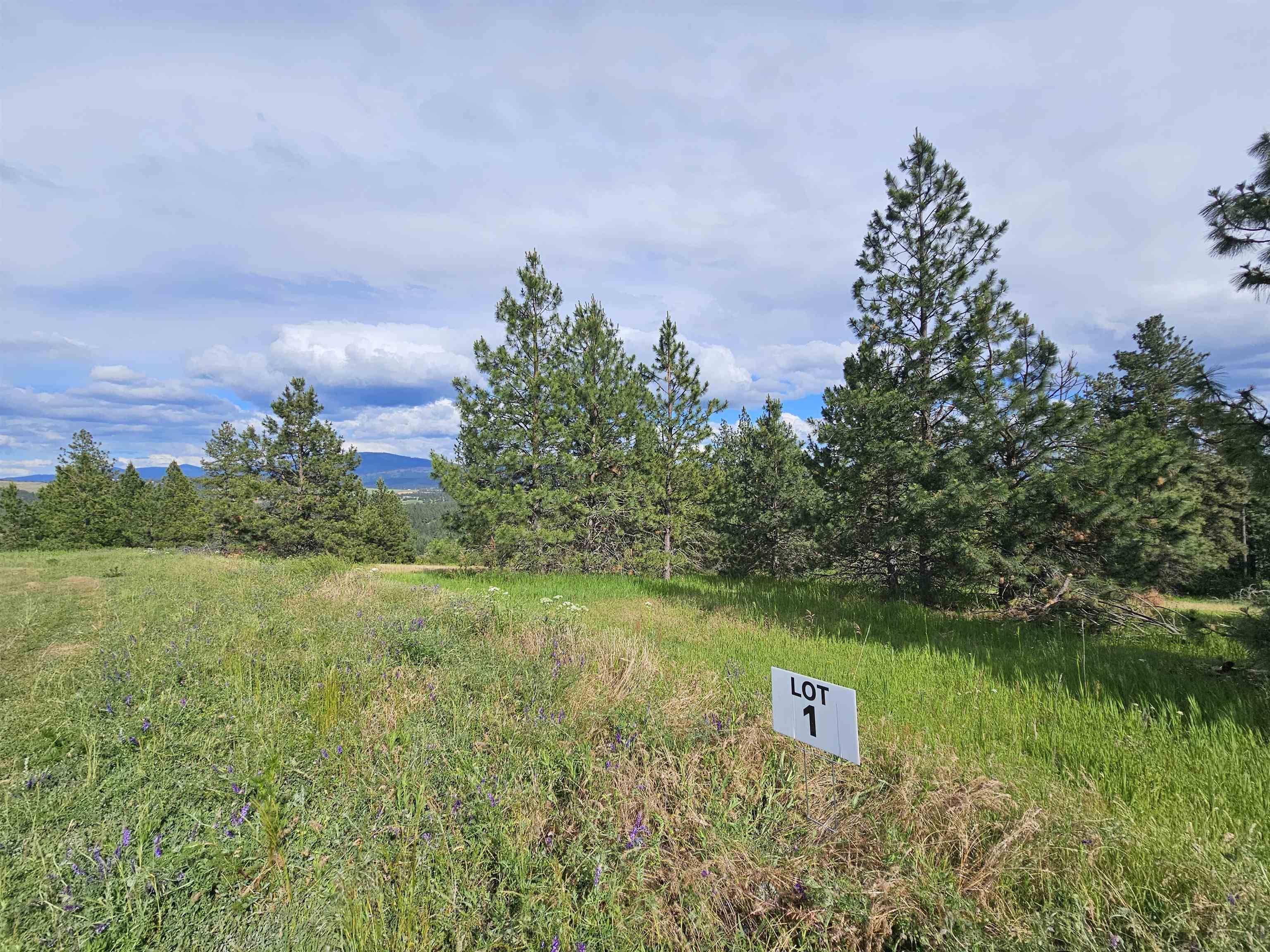 NNA S Sands Rd #Lot 1, Valleyford, WA 99036