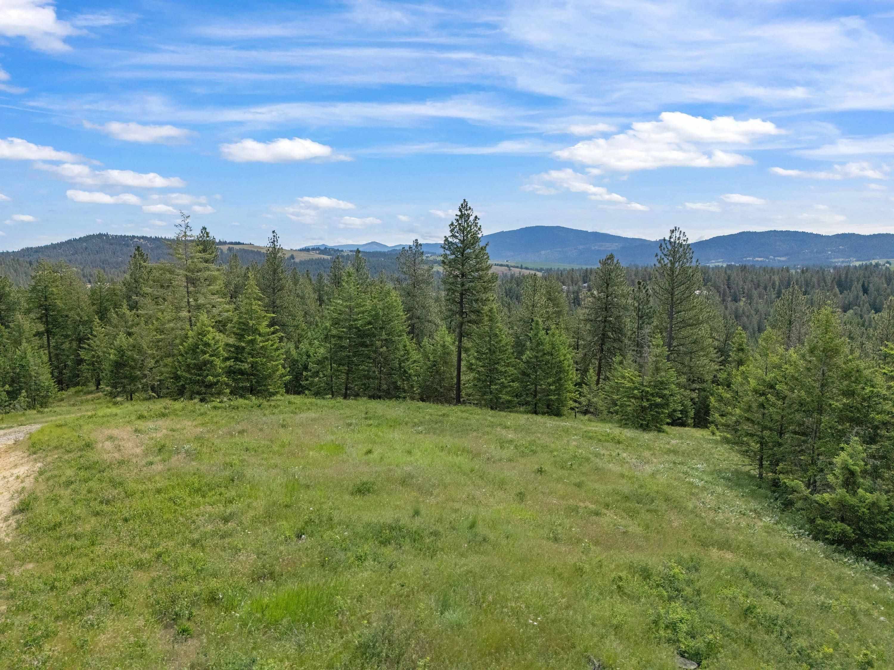 9630 S Sands Rd, Valleyford, WA 99036