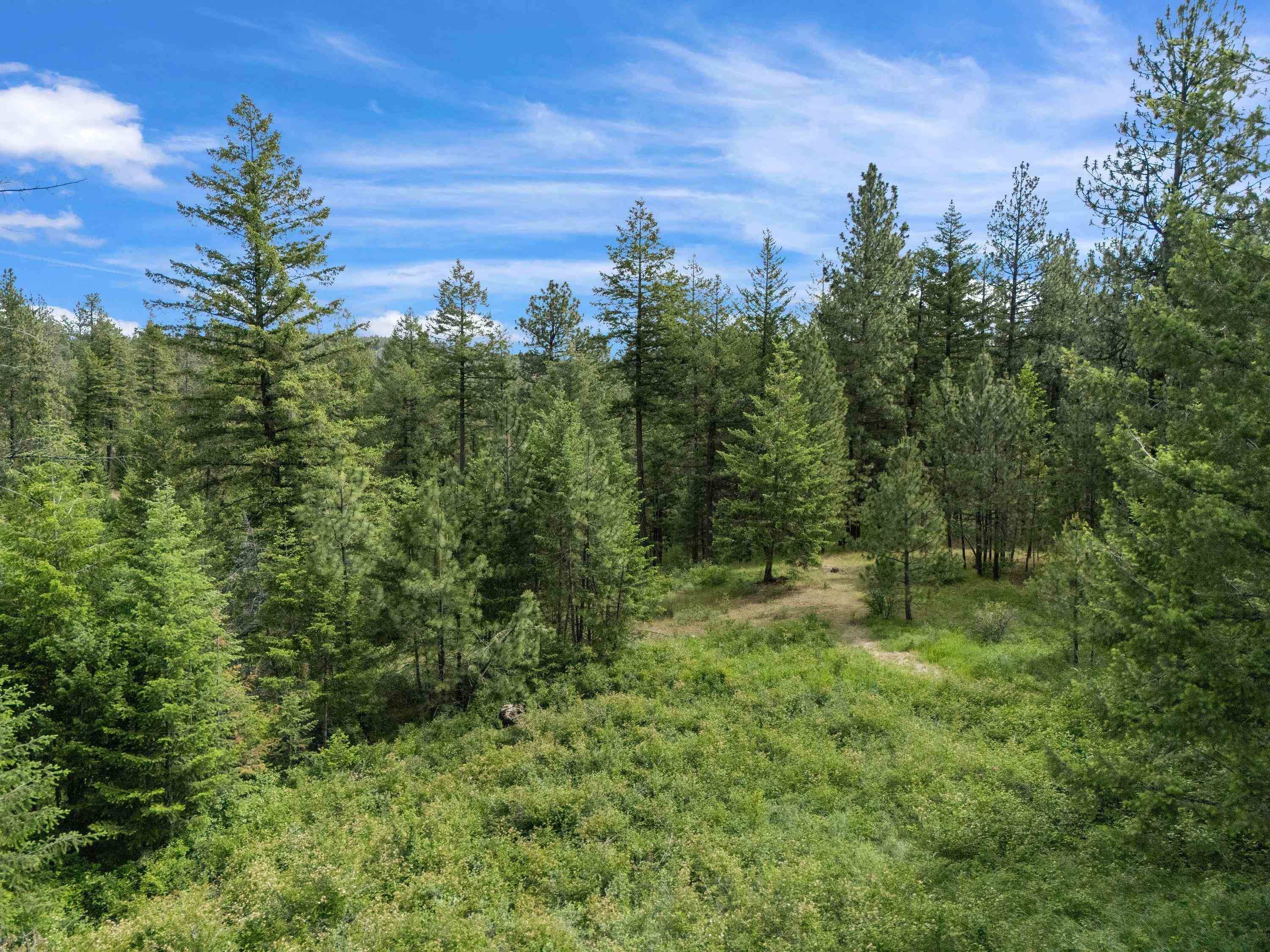 9630 S Sands Rd, Valleyford, WA 99036