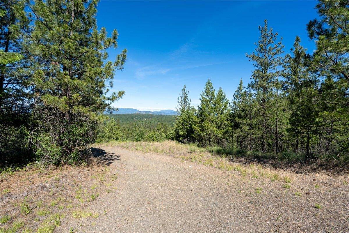 3XXX Beitey Rd, Valley, WA 99181
