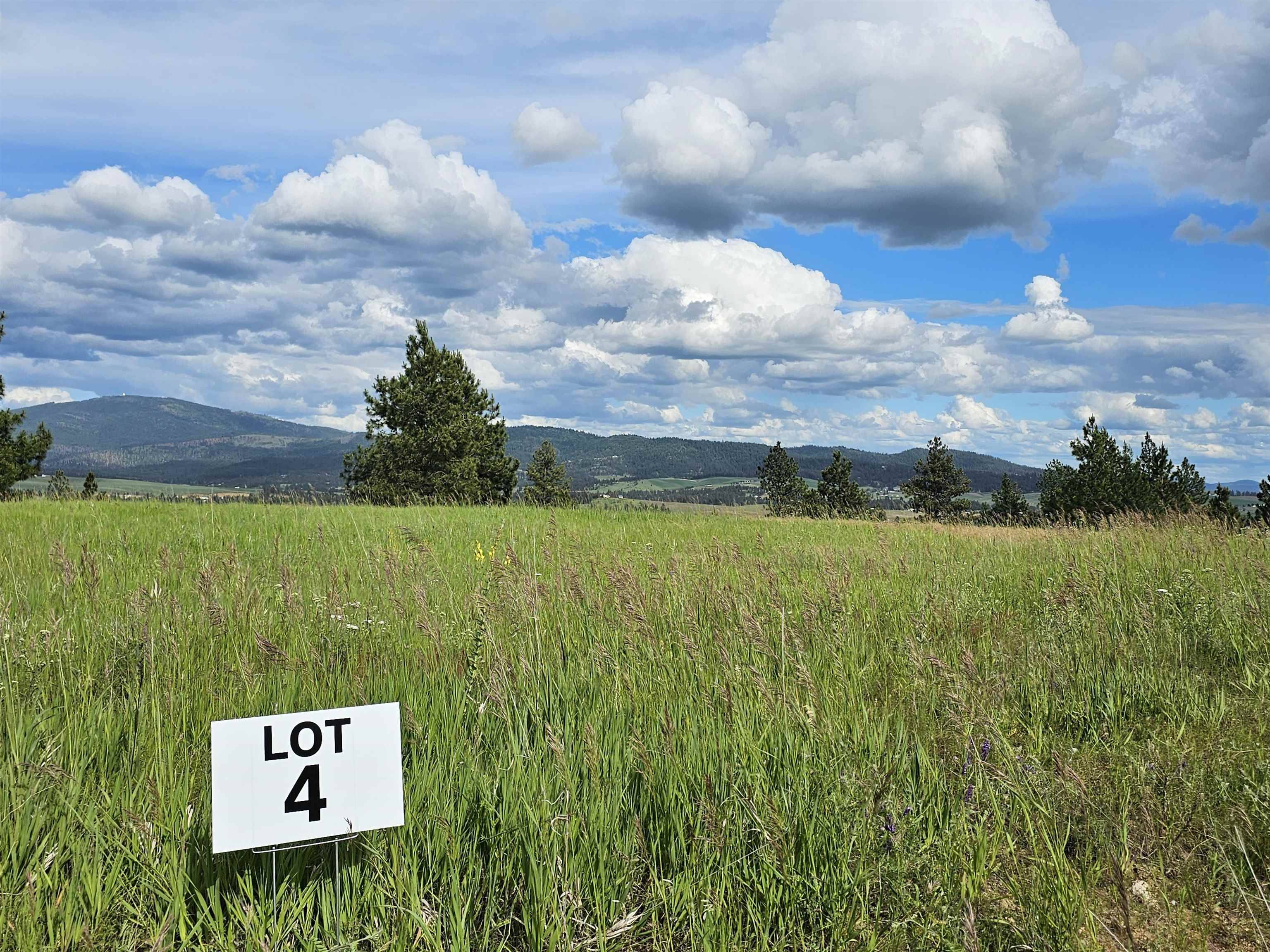 NNA S Sands Rd #Lot 4, Valleyford, WA 99036