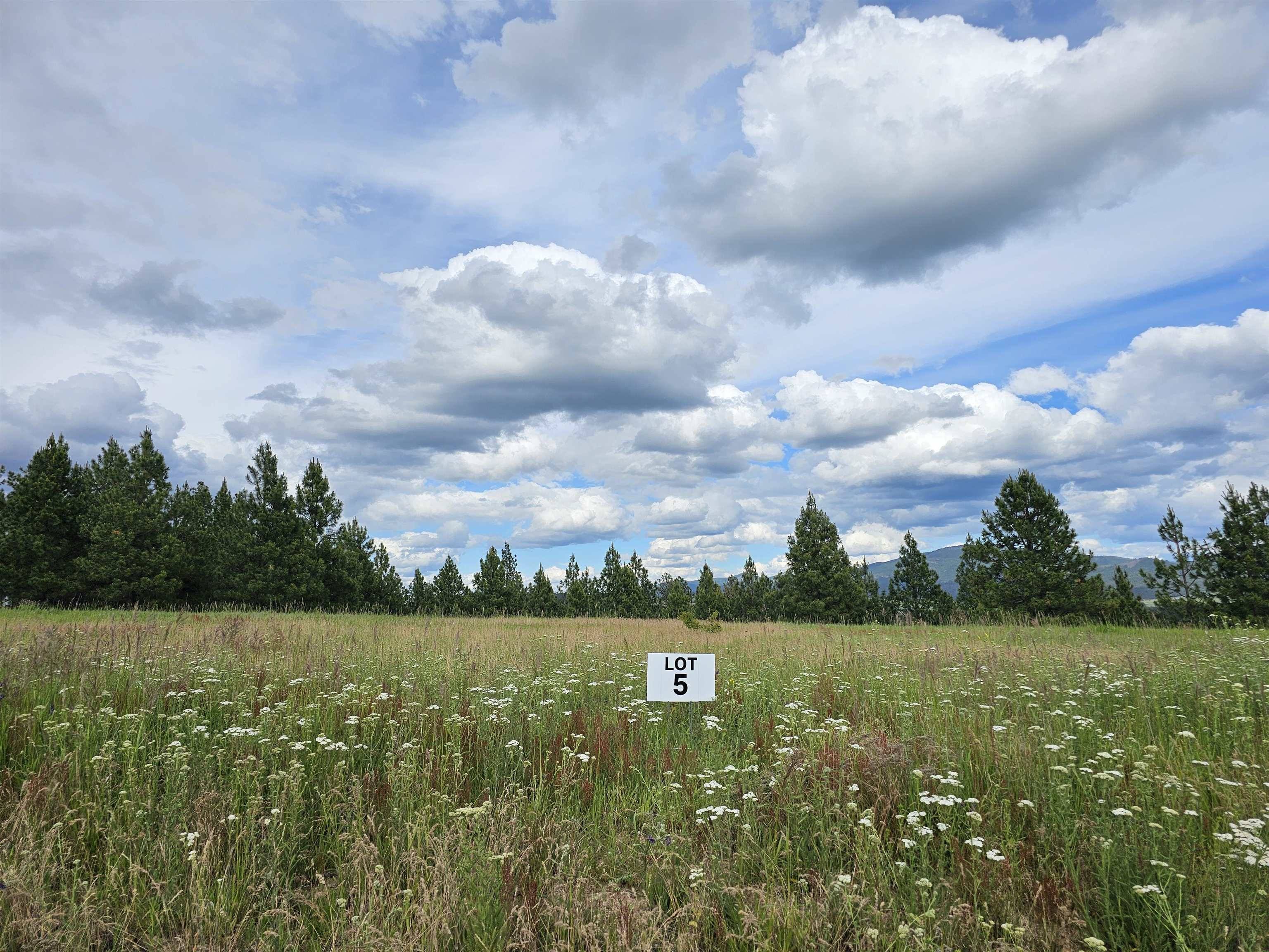NNA S Sands Rd #Lot 5, Valleyford, WA 99036