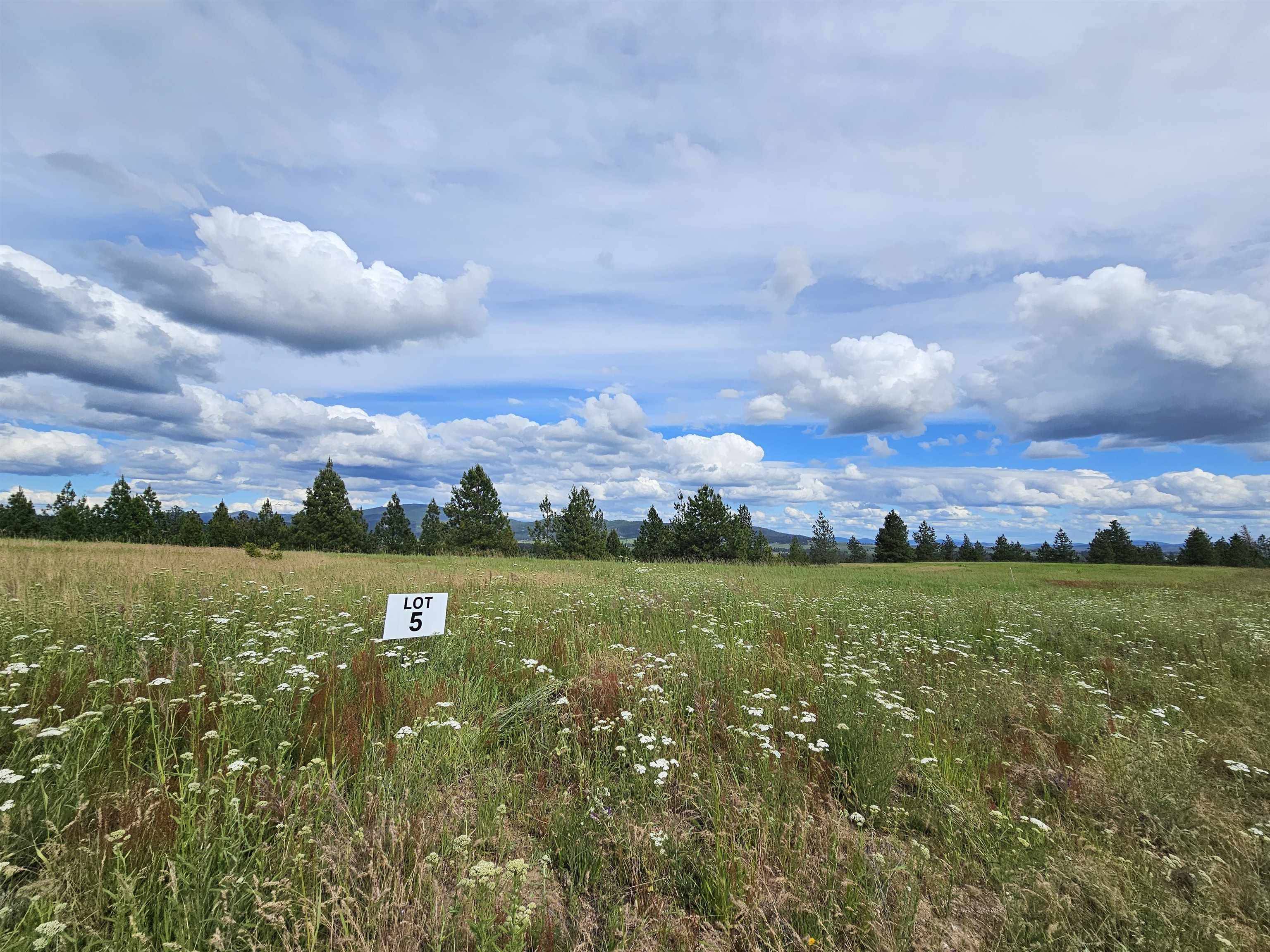 NNA S Sands Rd #Lot 5, Valleyford, WA 99036