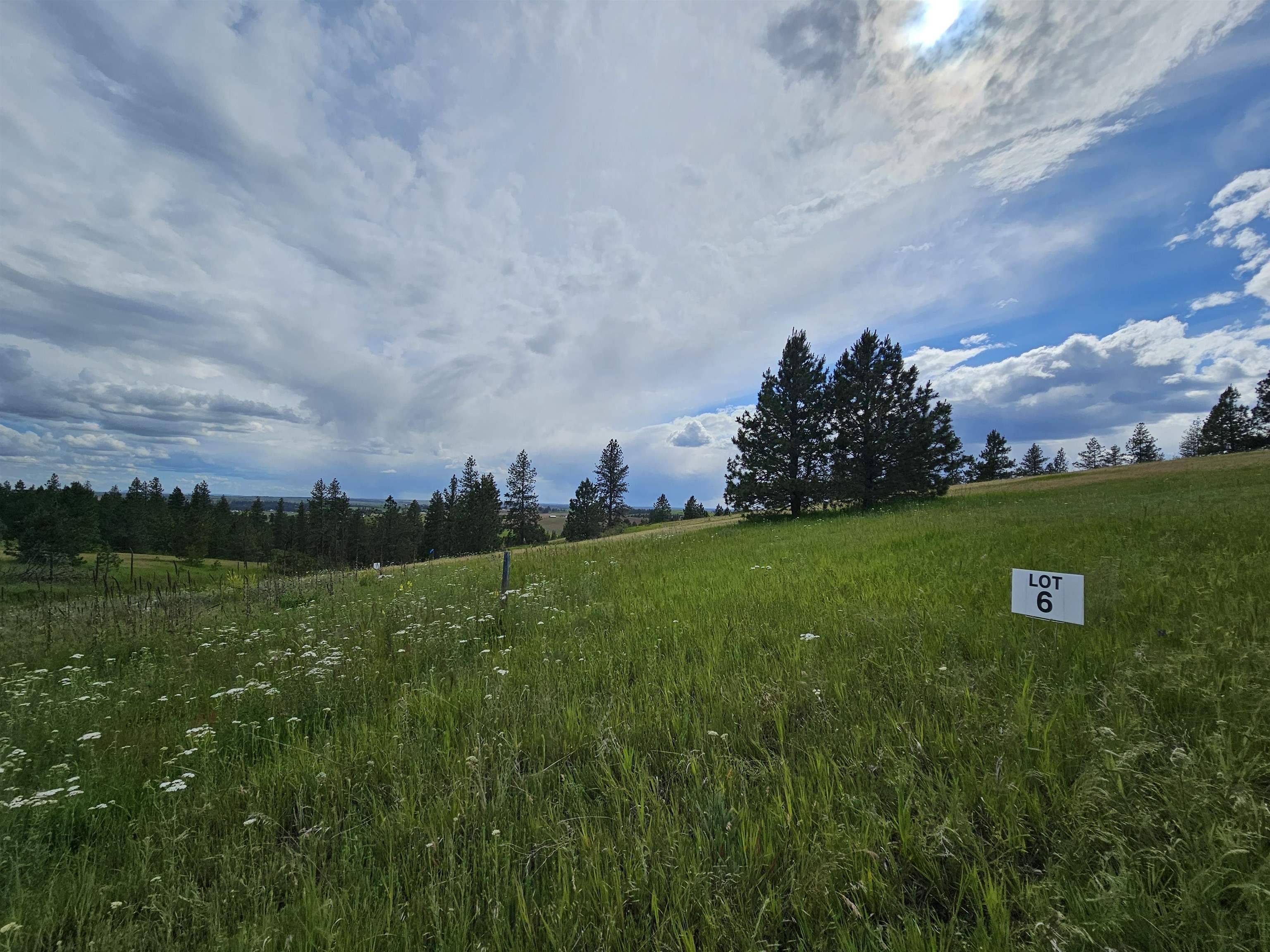 9630 S Sands Rd #Lot 6, Valleyford, WA 99036