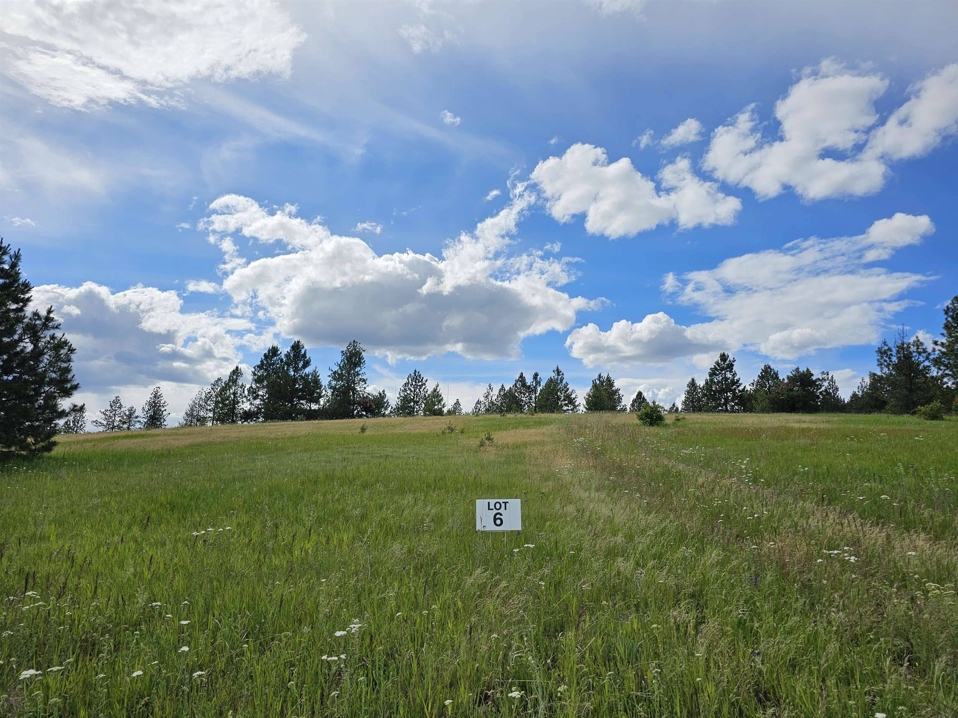 9630 S Sands Rd #Lot 6, Valleyford, WA 99036