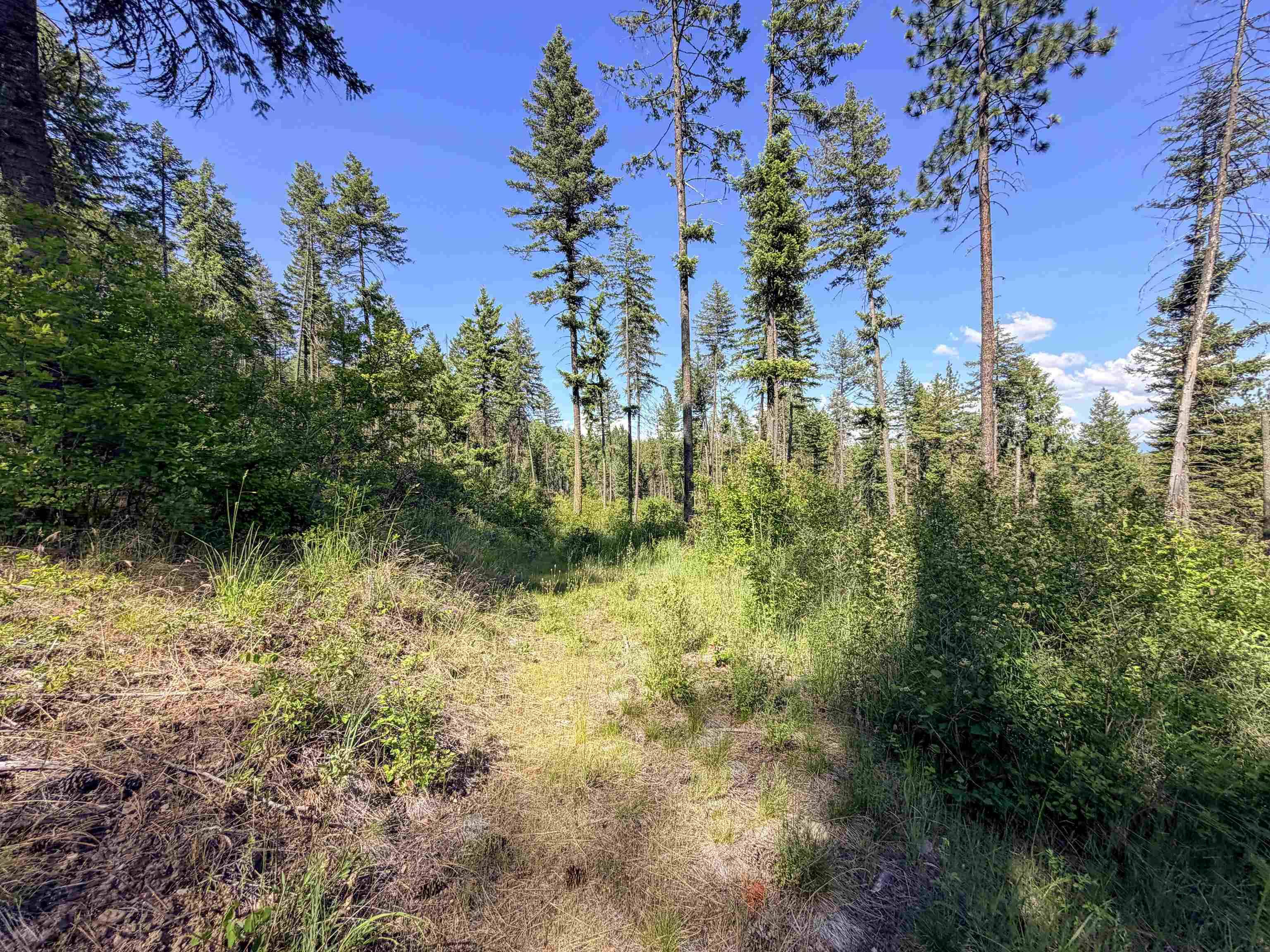 2008-TBD (E-H) Summit Valley Rd, Addy, WA 99101