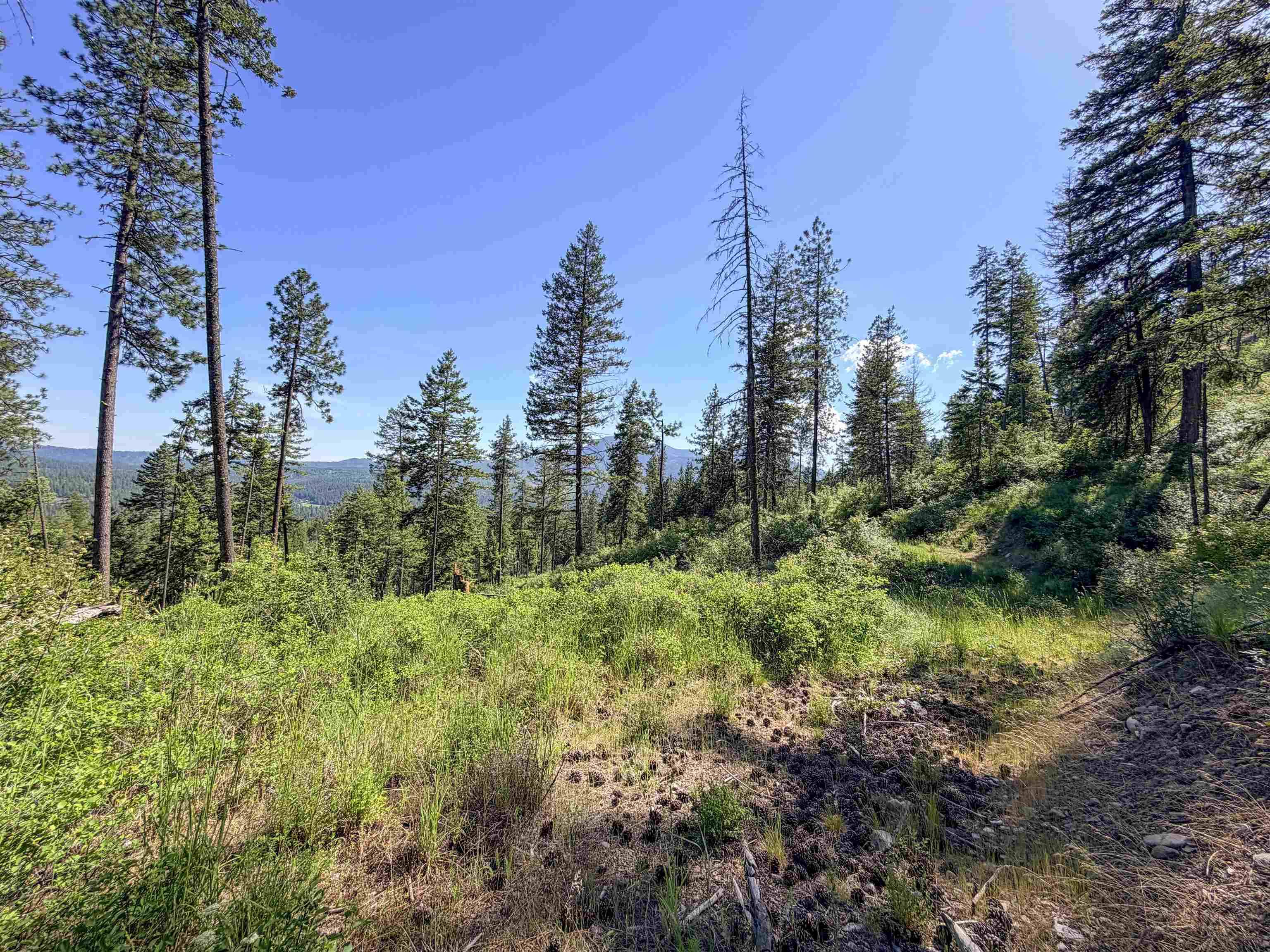 2008-TBD (E-H) Summit Valley Rd, Addy, WA 99101