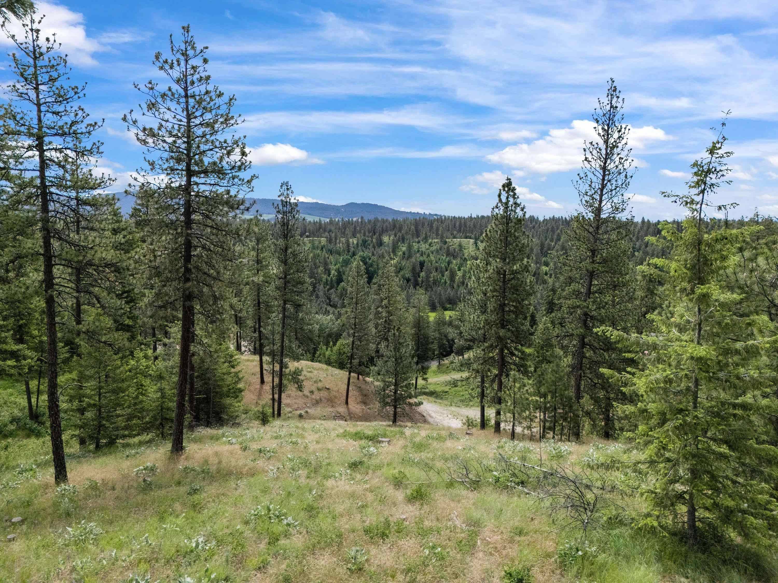 NNA S Sands Rd #Lot 7, Valleyford, WA 99036