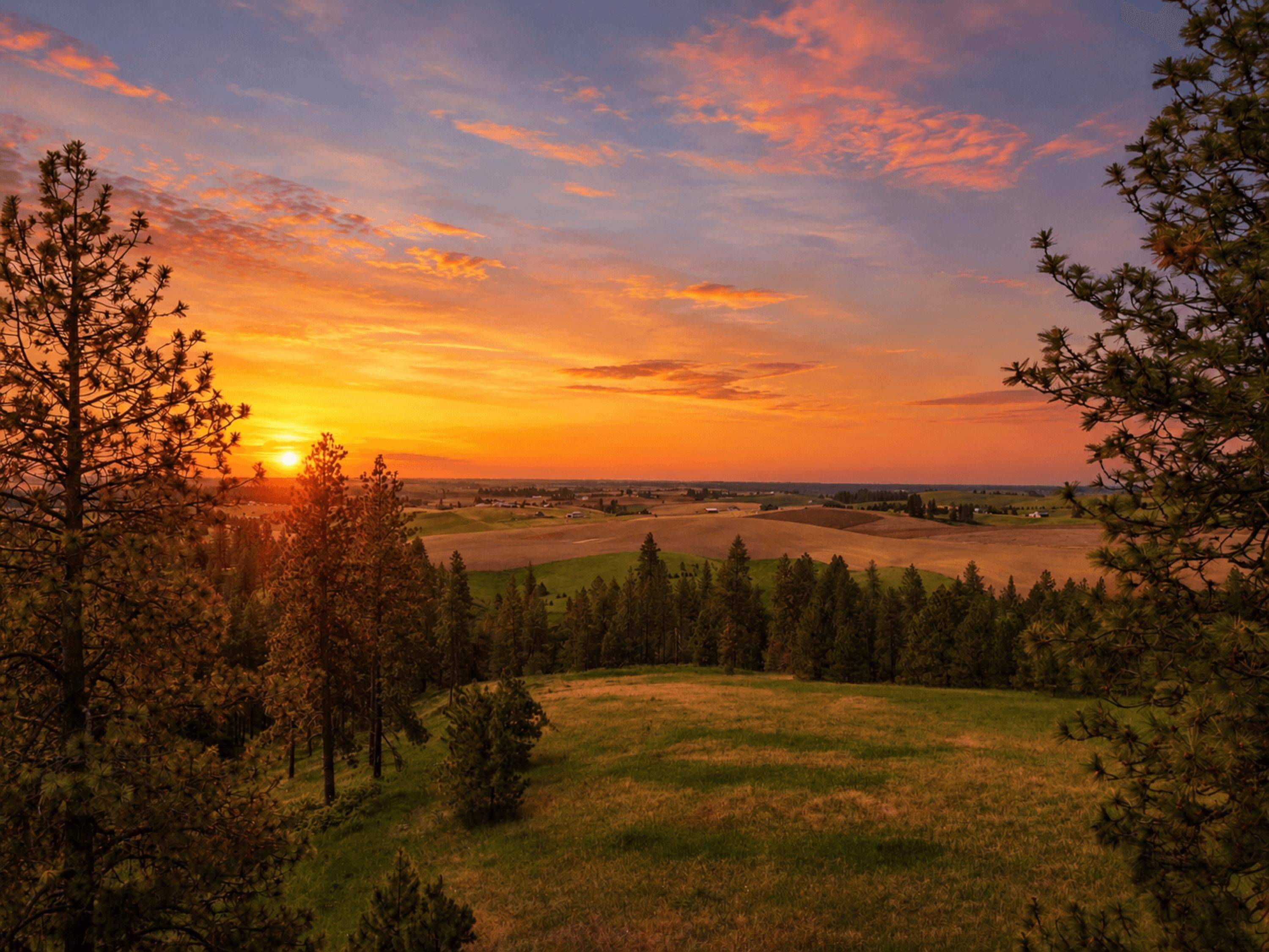 NNA S Sands Rd #Lot 8, Valleyford, WA 99036