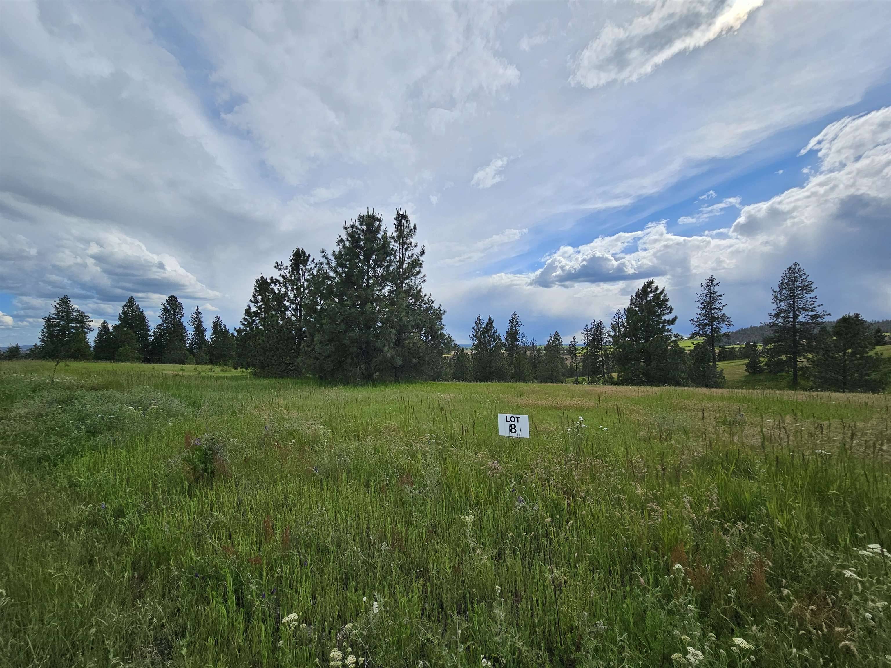 NNA S Sands Rd #Lot 8, Valleyford, WA 99036