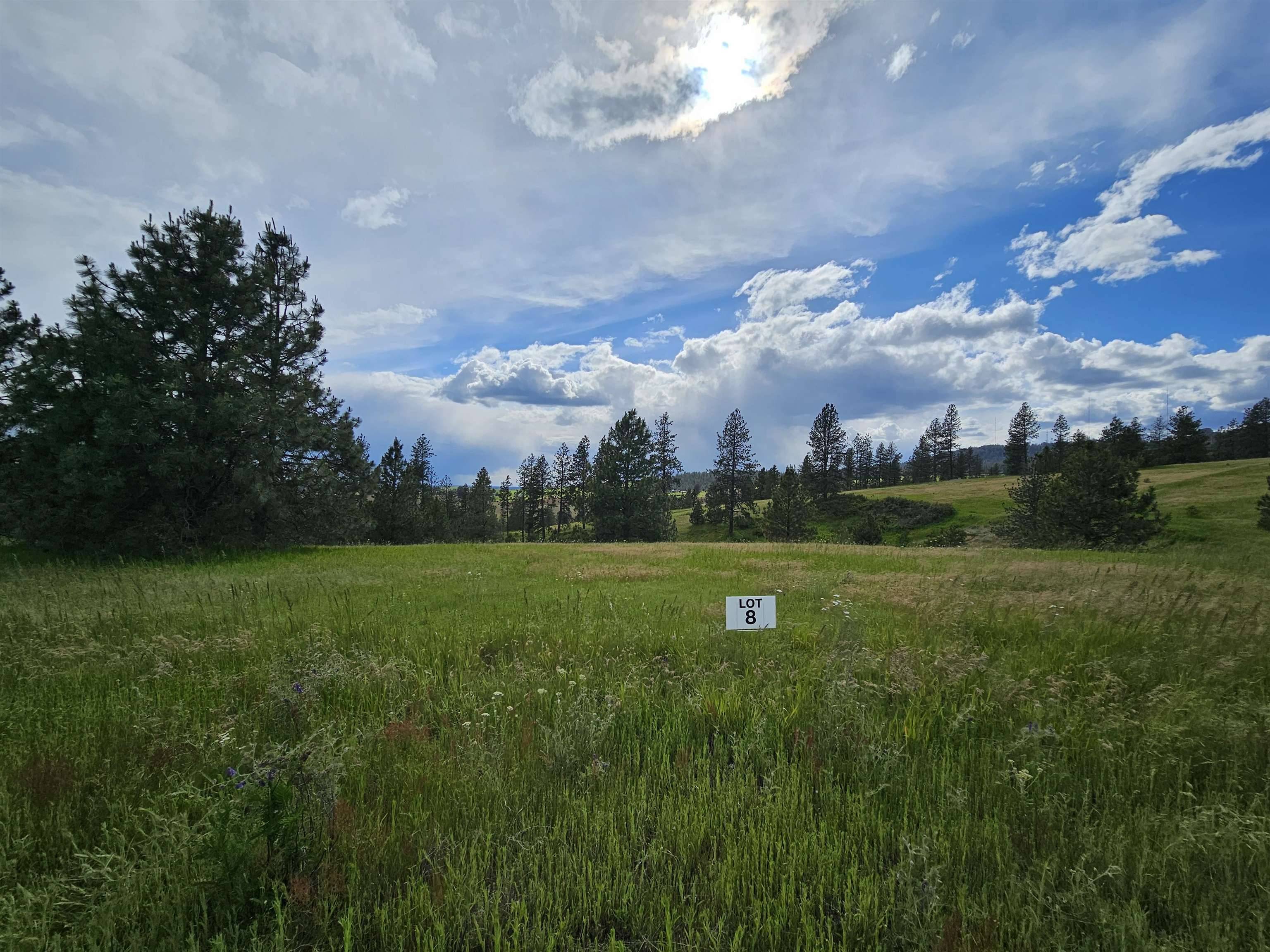 NNA S Sands Rd #Lot 8, Valleyford, WA 99036