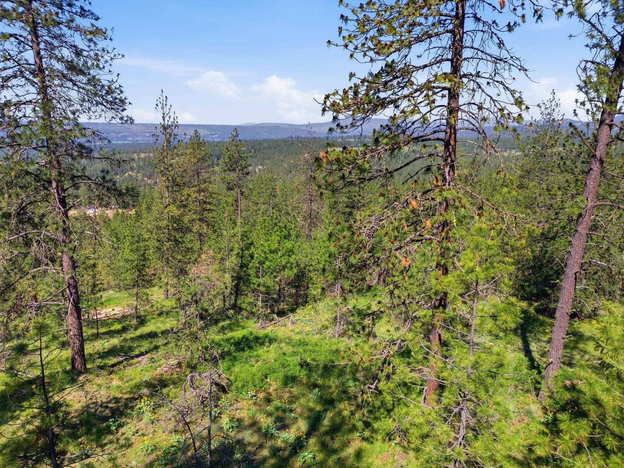 NKA Weaver WAY #Lot D, Deer Park, WA 99006
