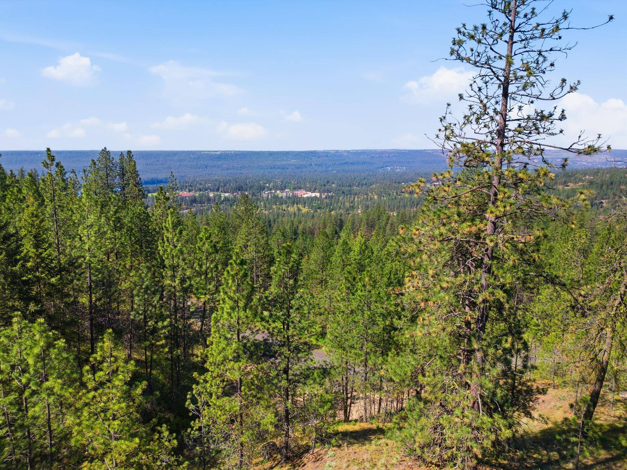 NKA Weaver WAY #Lot D, Deer Park, WA 99006
