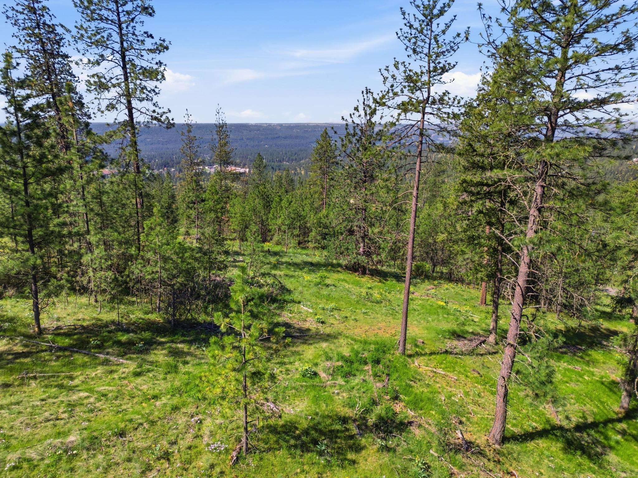 NKA Weaver WAY #Lot D, Deer Park, WA 99006