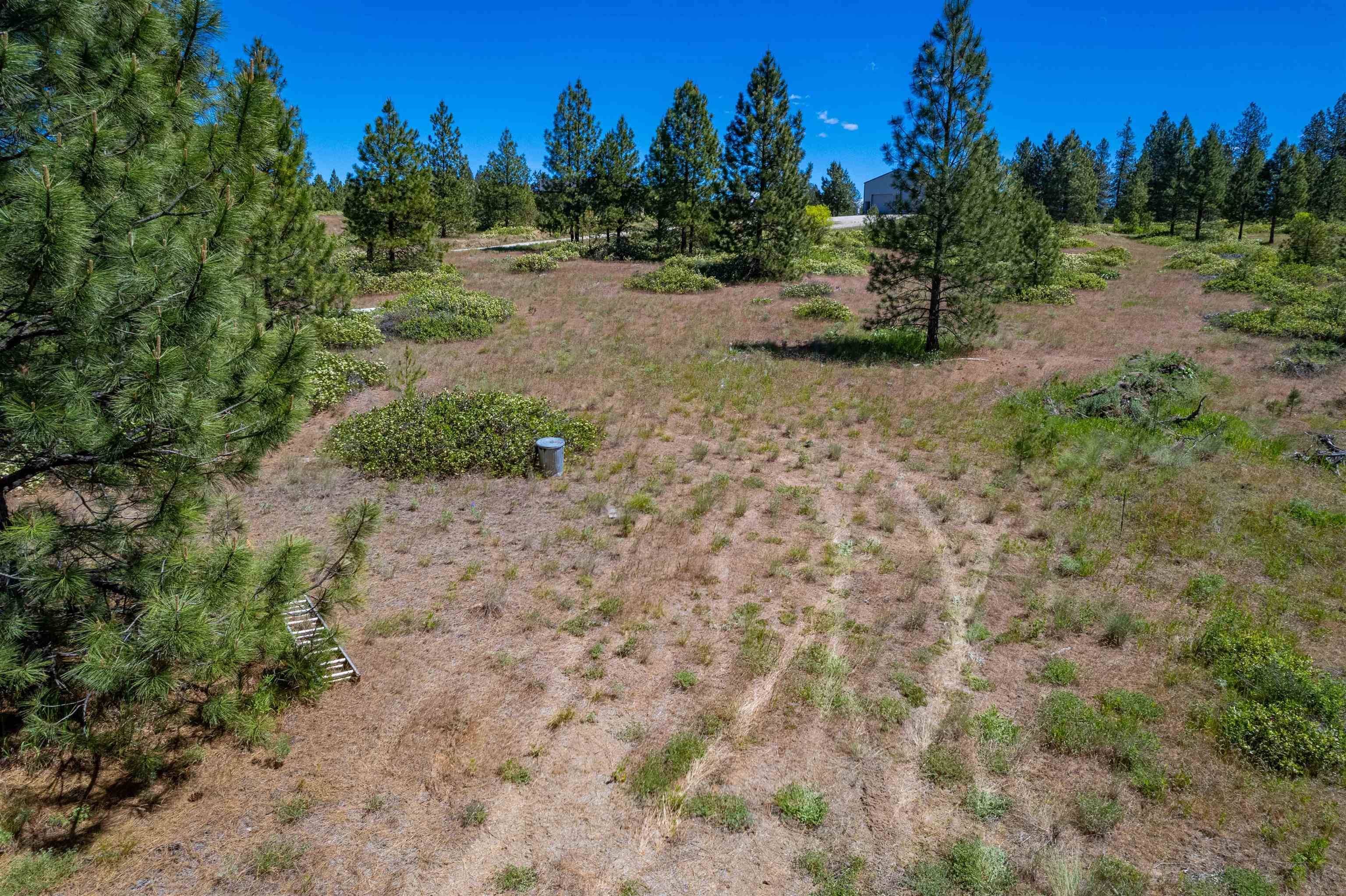 29XXX N Hardesty Rd, Chattaroy, WA 99003