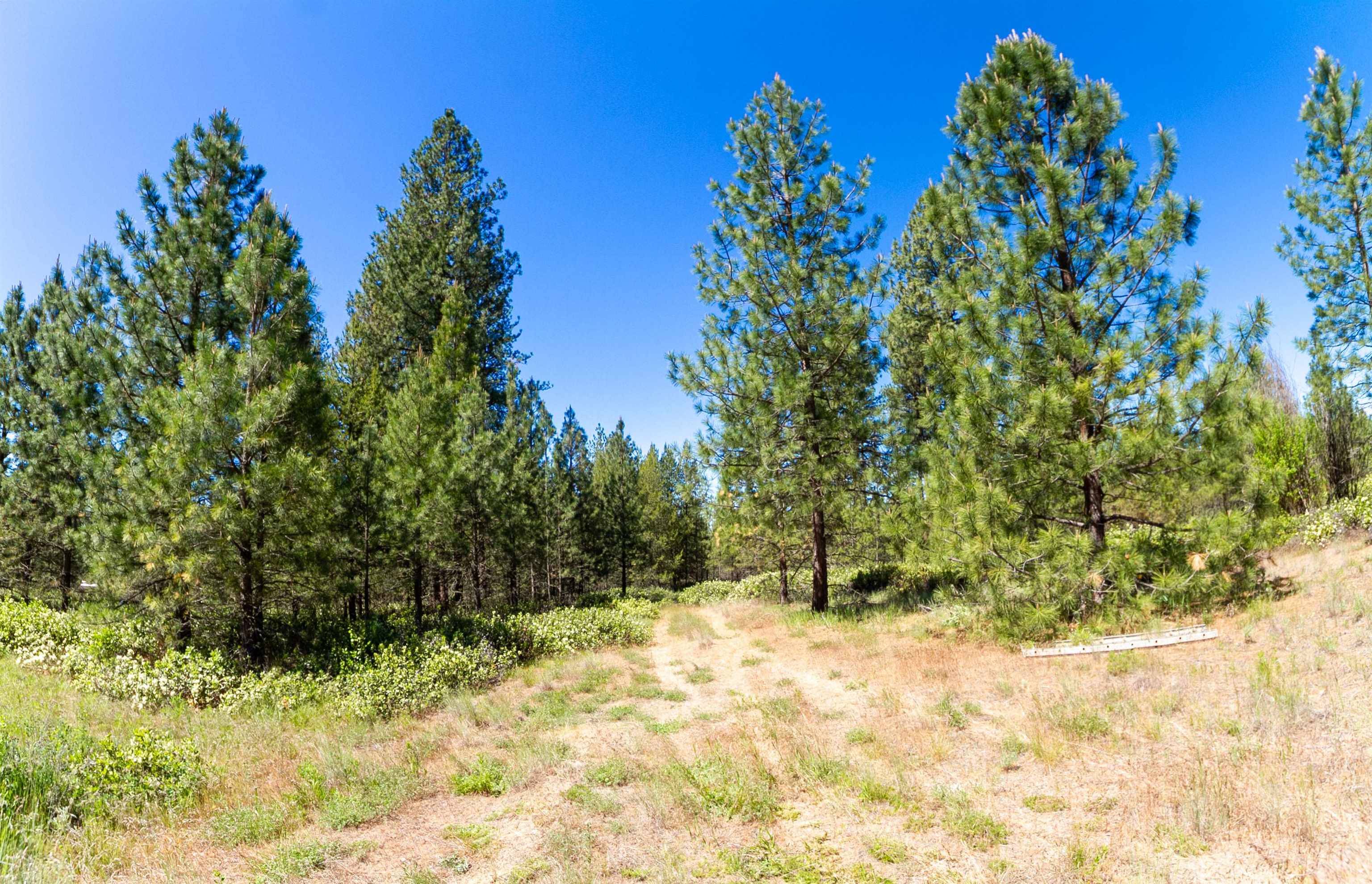29XXX N Hardesty Rd, Chattaroy, WA 99003