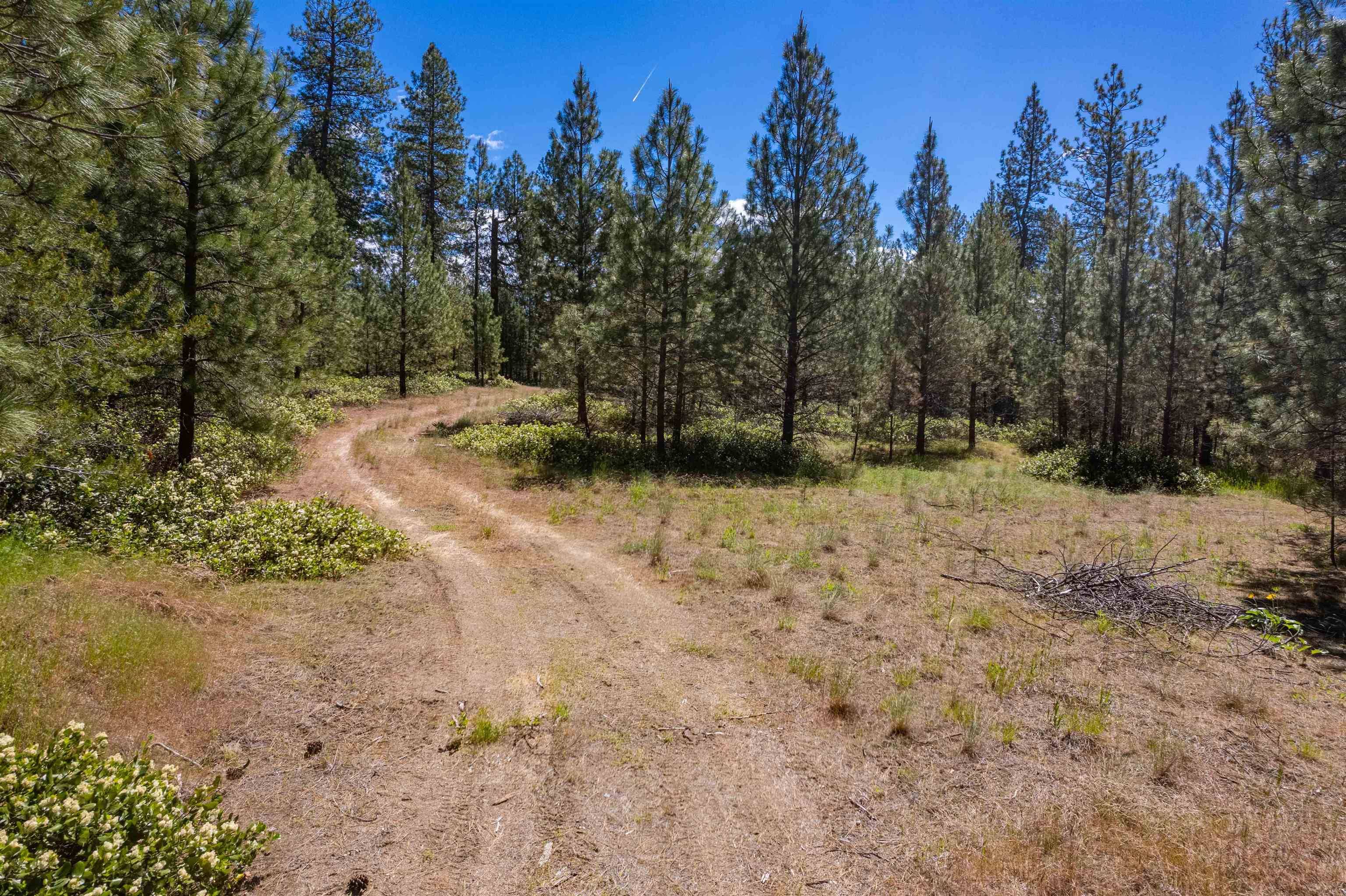 29XXX N Hardesty Rd, Chattaroy, WA 99003