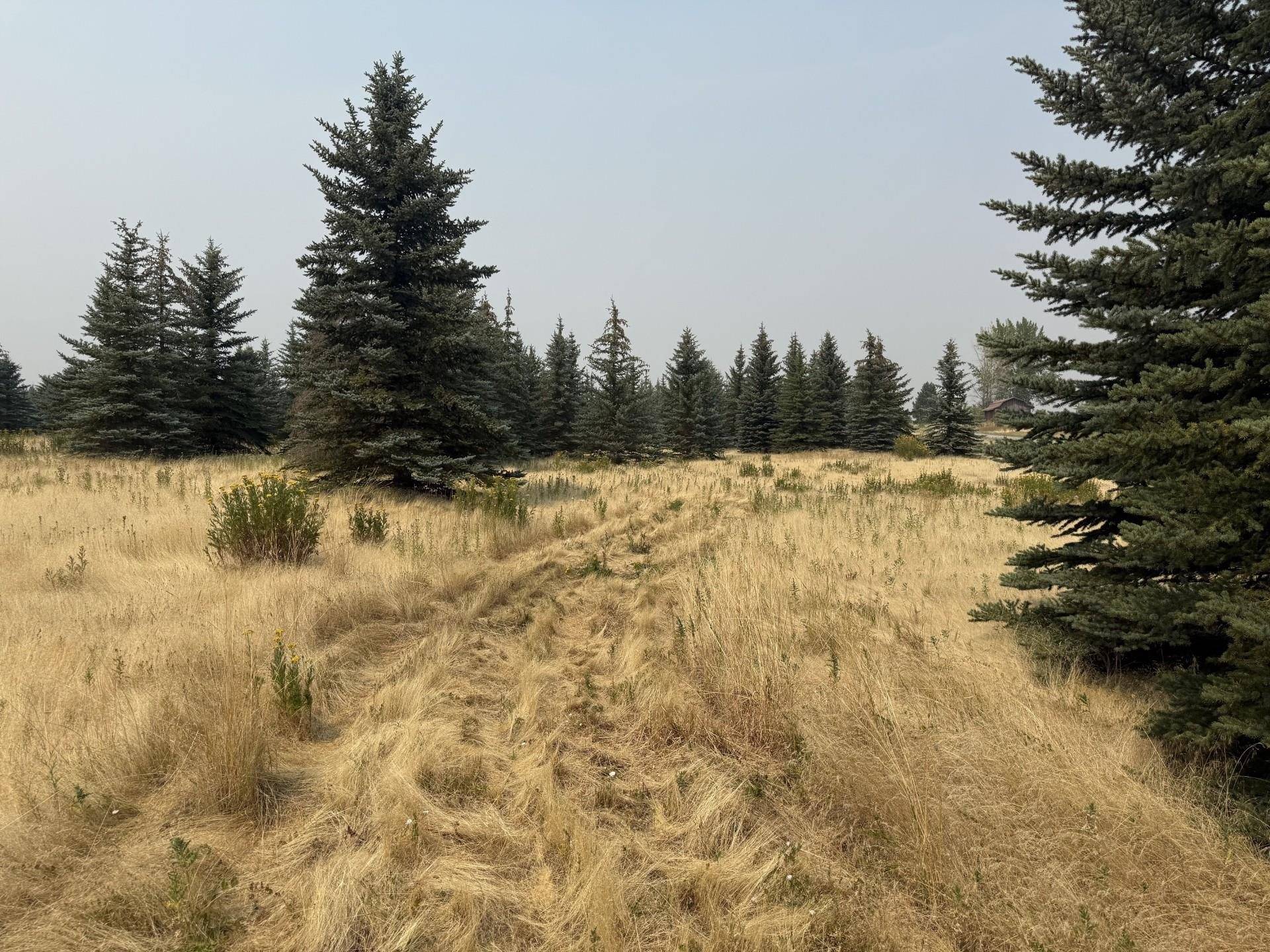 13XXX E Gibbs Rd, Mica, WA 99023