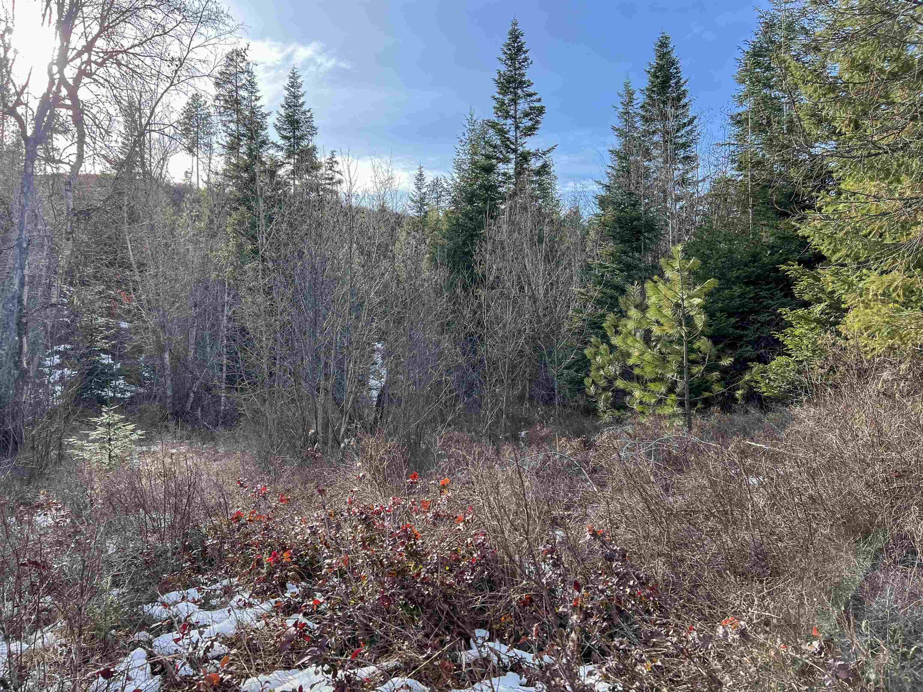 35XX Harms WAY, Valley, WA 99181