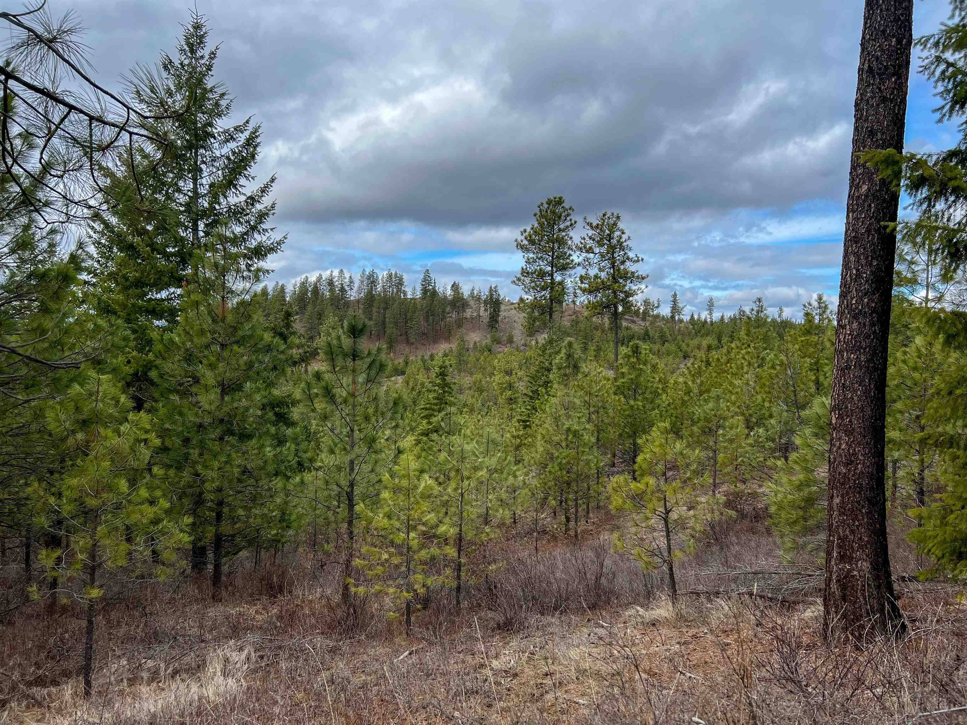 352X Greene Rd, Valley, WA 99181