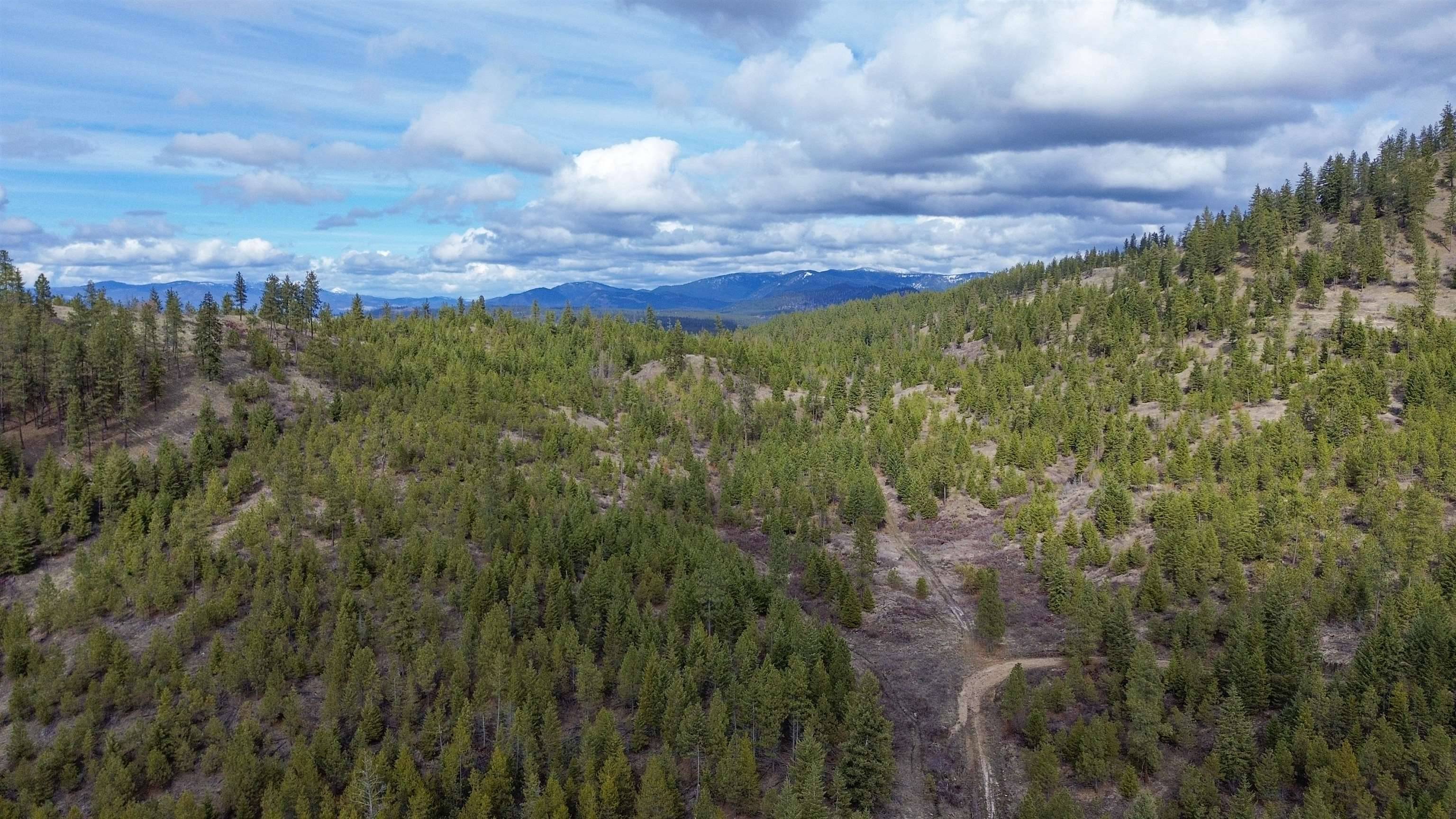 352X Greene Rd, Valley, WA 99181