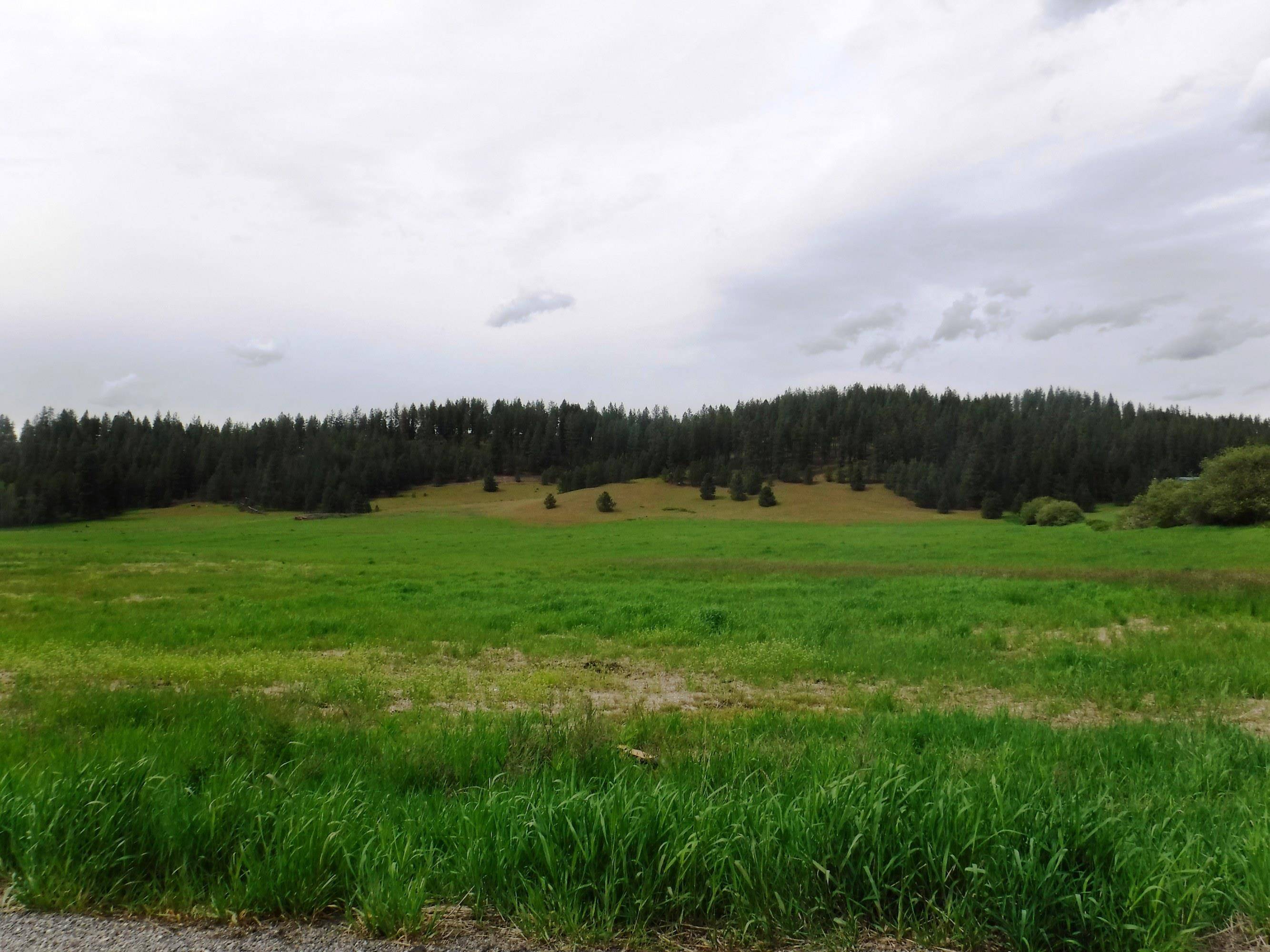 XX Woolard Rd, Colbert, WA 99005