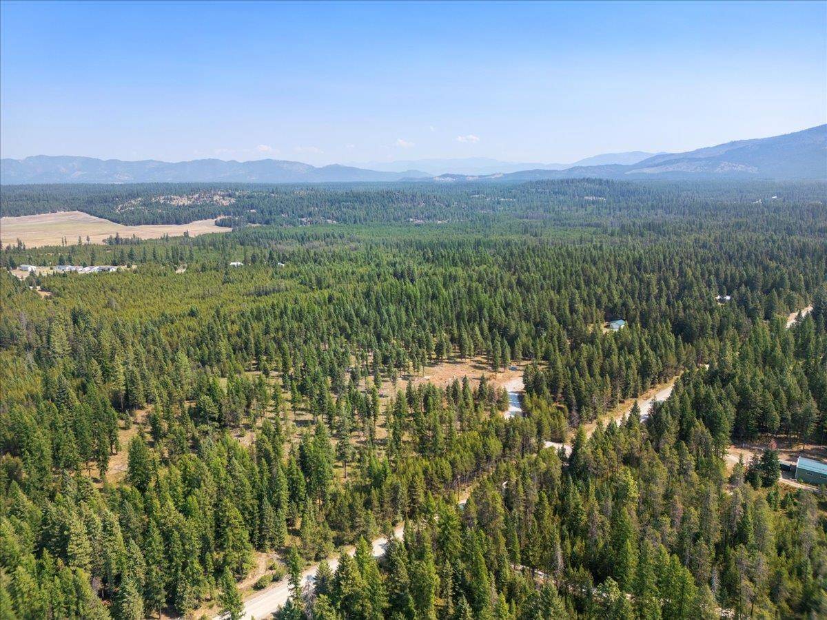 311 BIGFOOT Rd, Newport, WA 99156