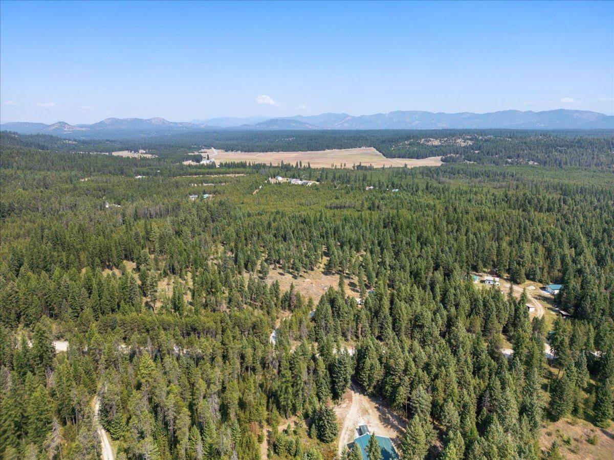 311 BIGFOOT Rd, Newport, WA 99156