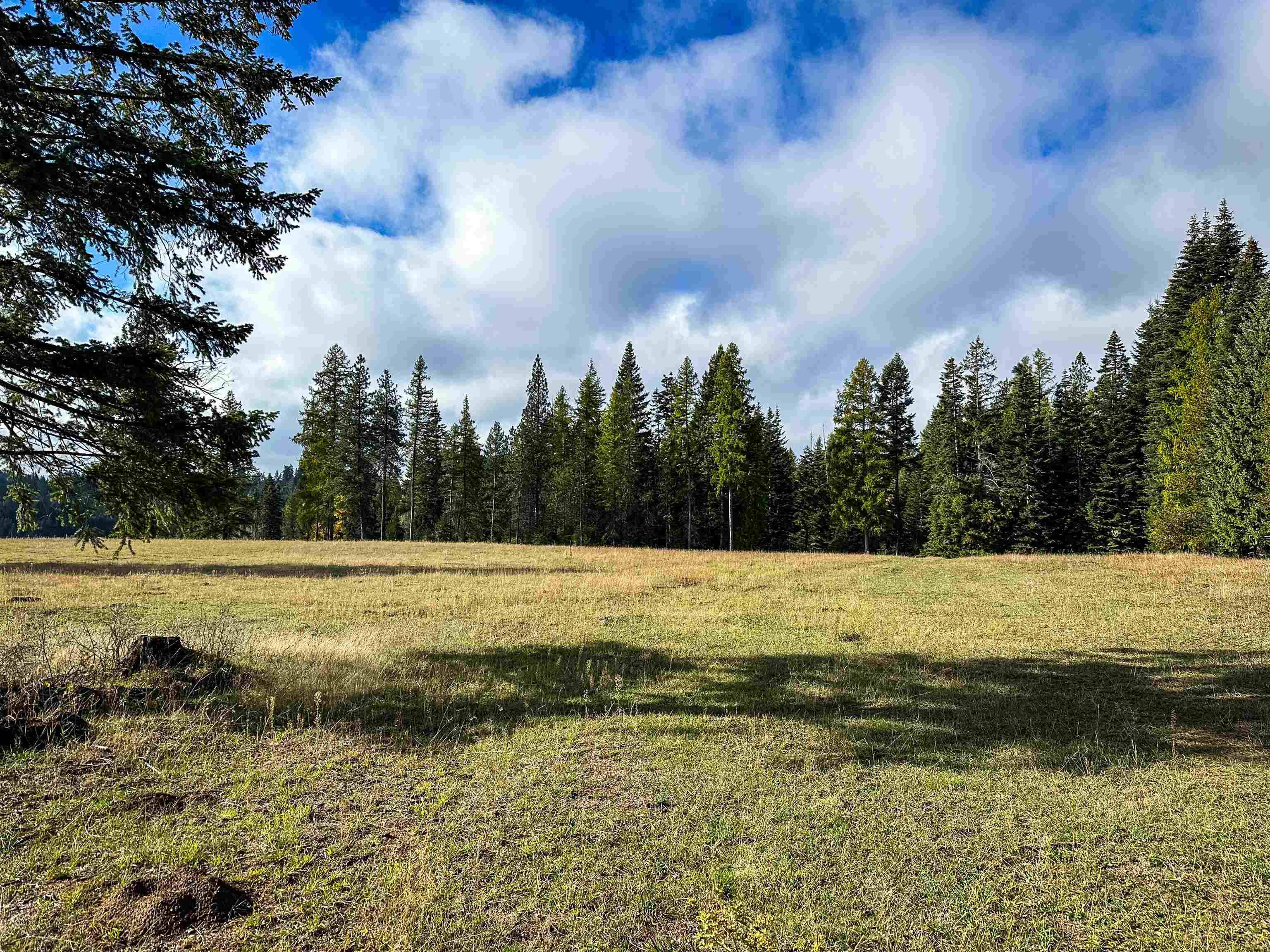 320871 Highway 2, Newport, WA 99156