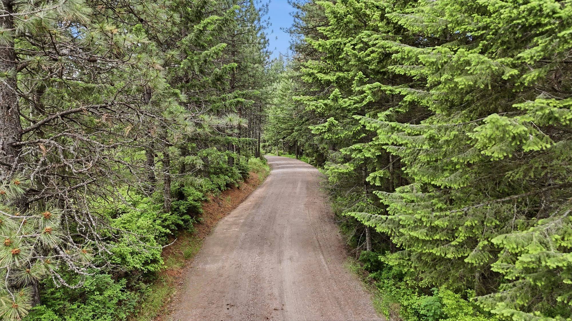 NNA N Travis Rd, Spokane, WA 99021