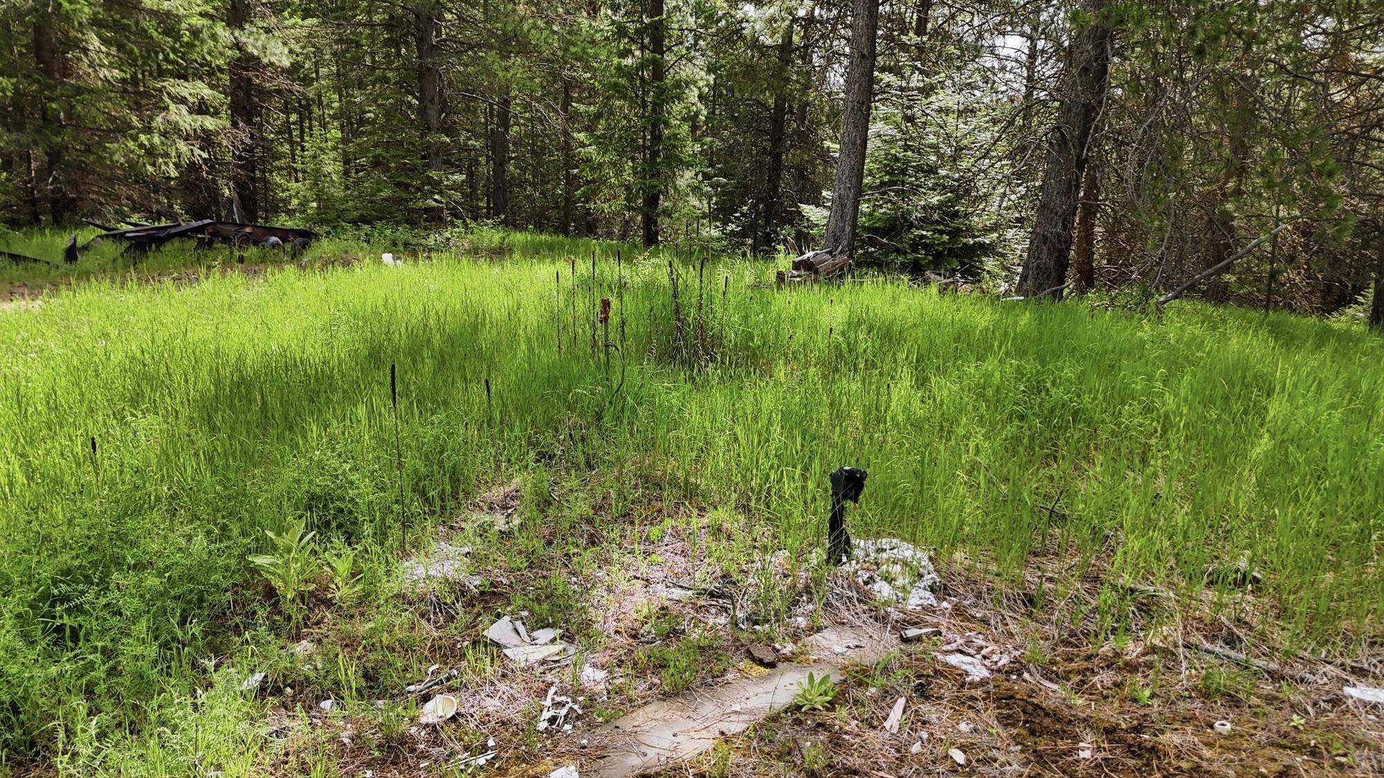 22720 N Travis Rd, Spokane, WA 99021