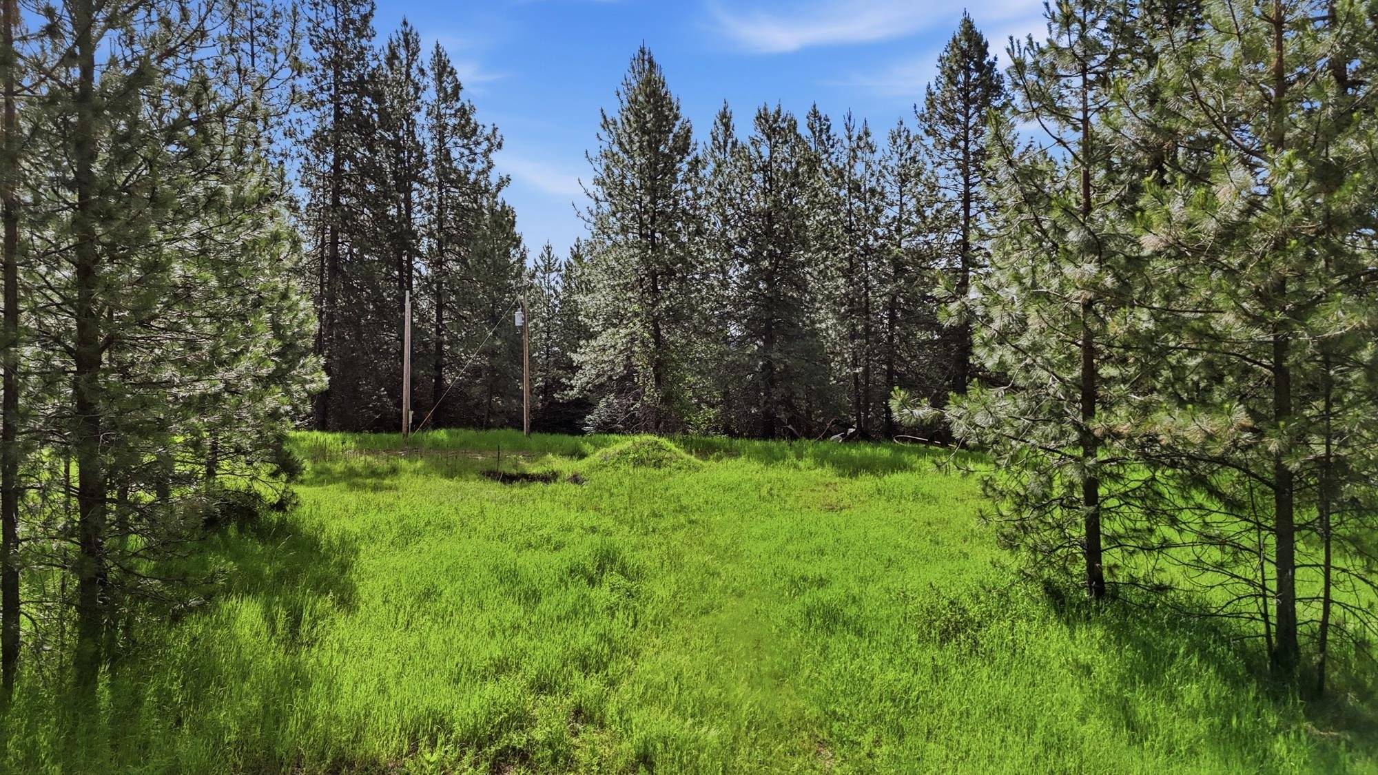 22720 N Travis Rd, Spokane, WA 99021