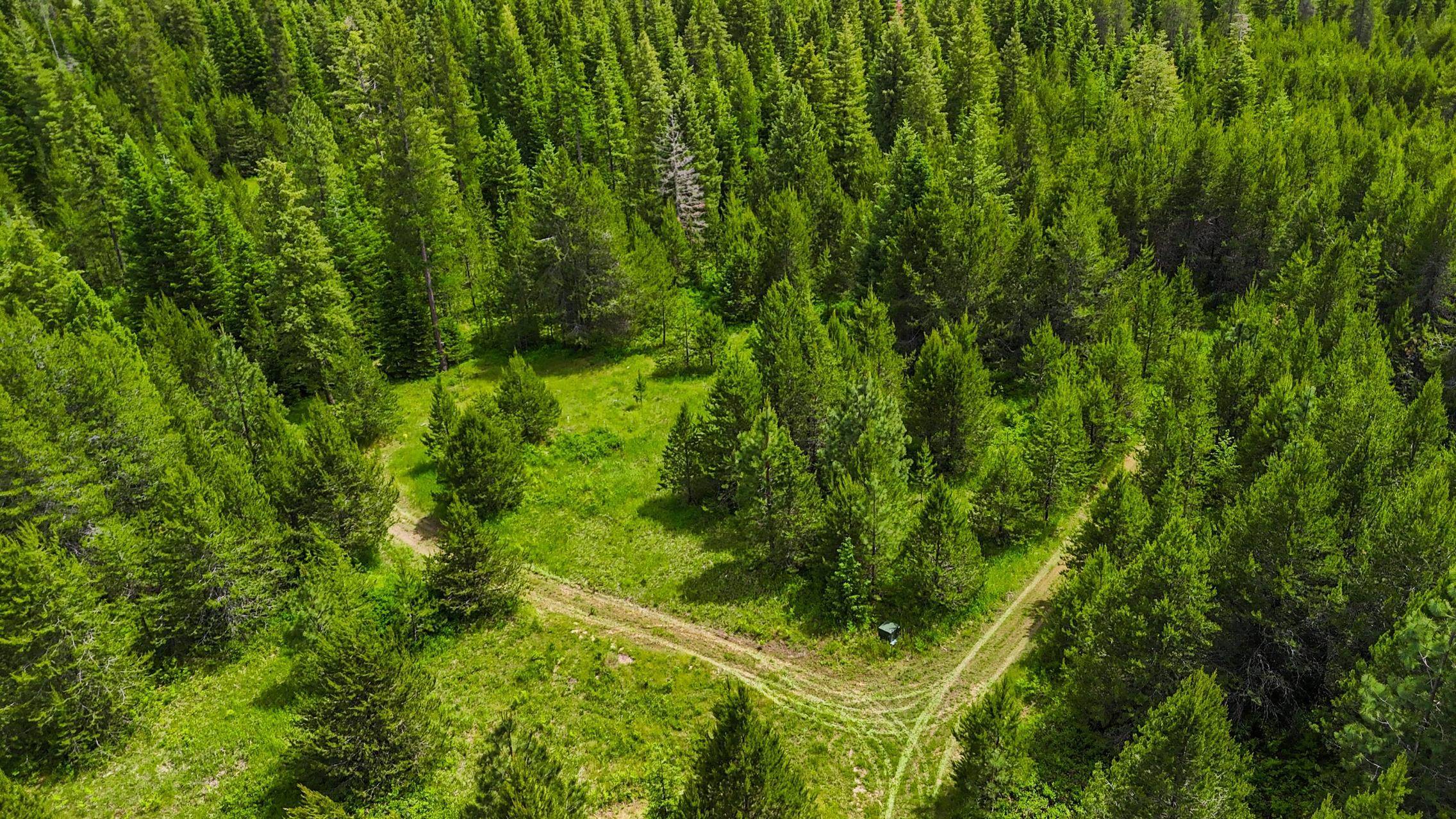 10XXX N Whispering Pines Ln, Elk, WA 99009