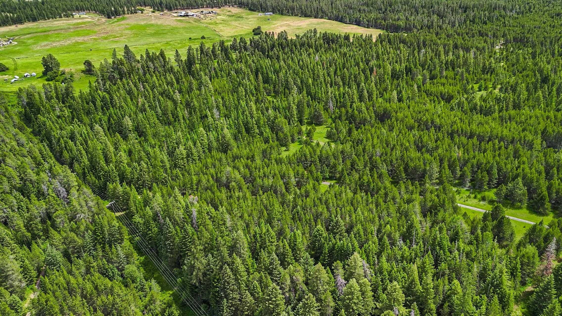 10XXX N Whispering Pines Ln, Elk, WA 99009