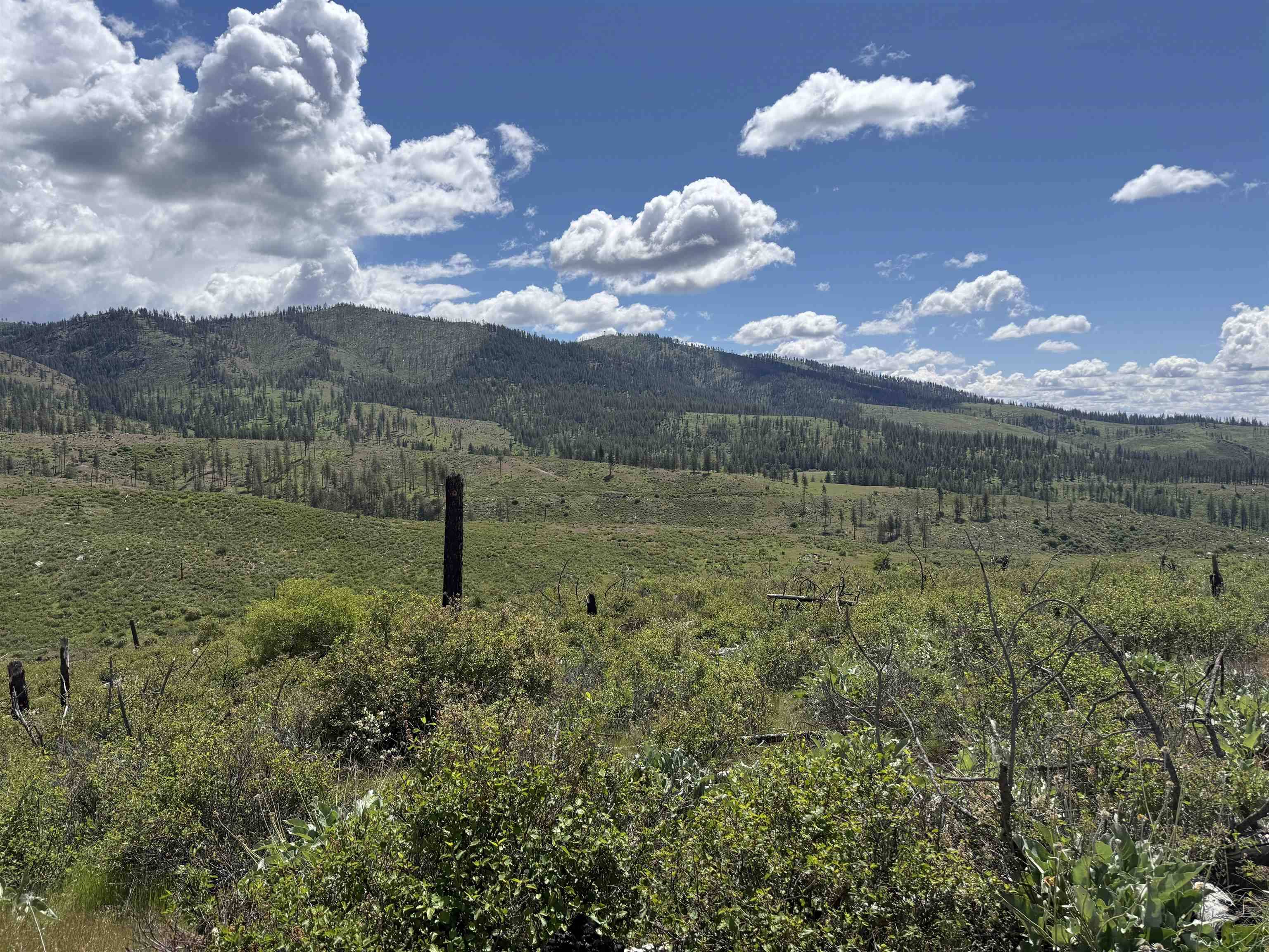 TBD Coyote Canyon Rd, Fruitland, WA 99129