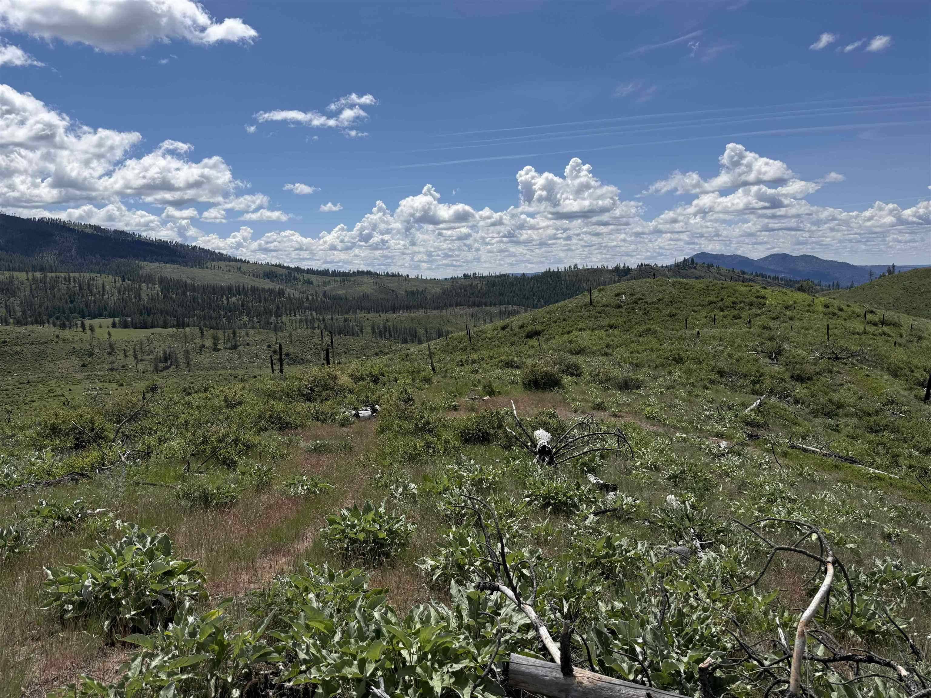 TBD Coyote Canyon Rd, Fruitland, WA 99129