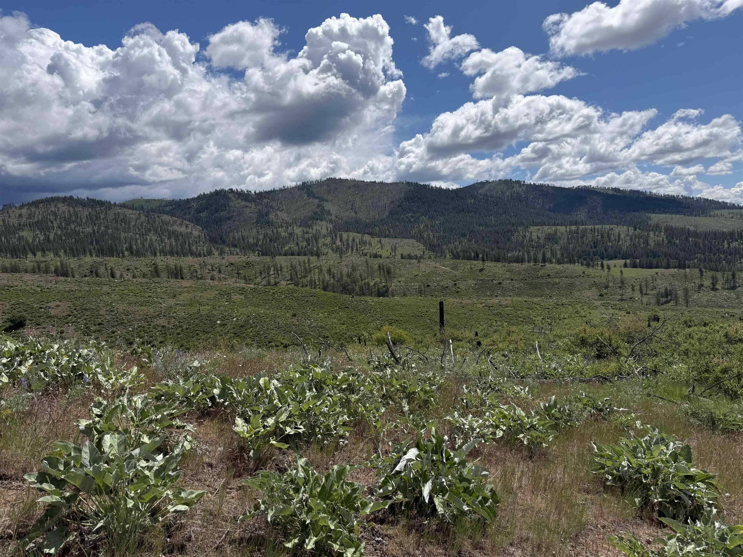 TBD Coyote Canyon Rd, Fruitland, WA 99129