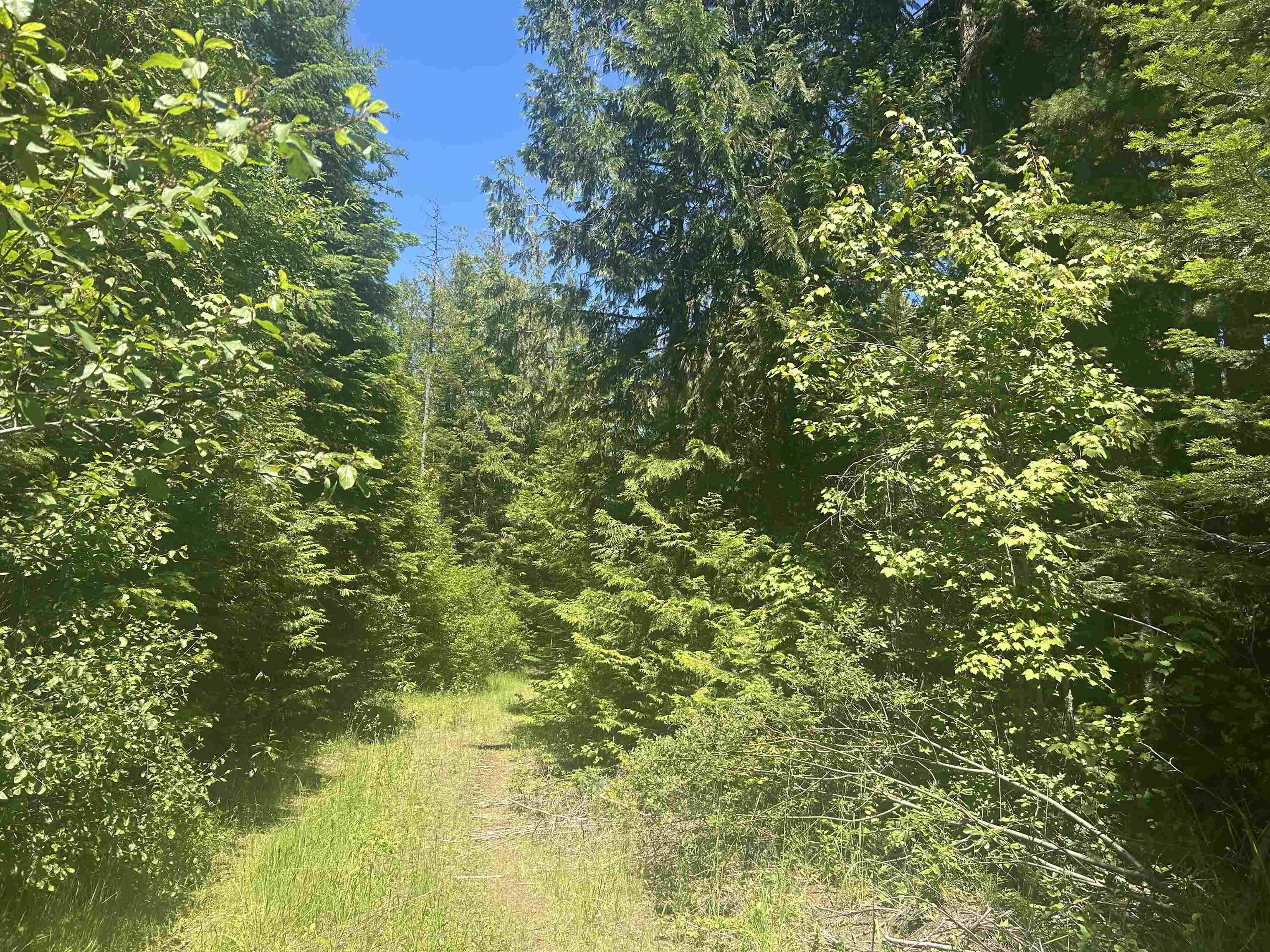 00 N Foster Ln, Cusick, WA 99180