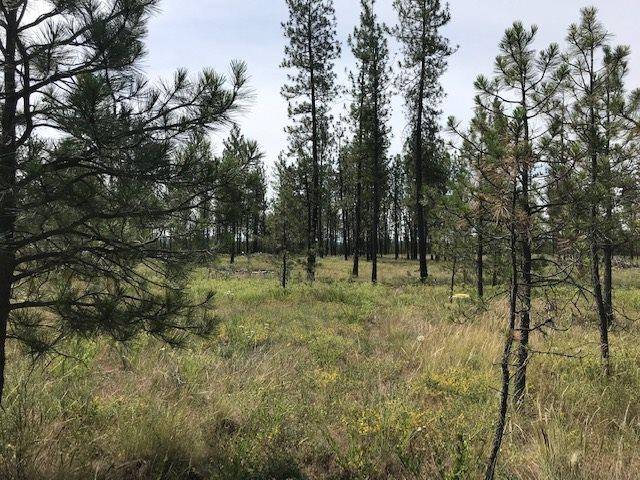 5742 J Corkscrew Canyon Rd, Tumtum, WA 99034