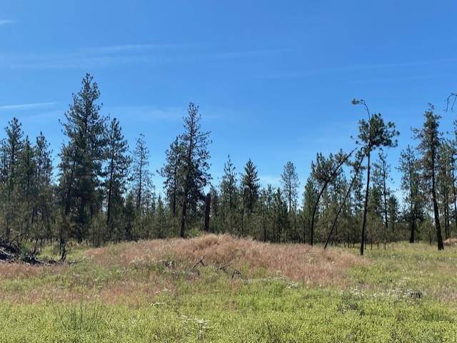5742 J Corkscrew Canyon Rd, Tumtum, WA 99034