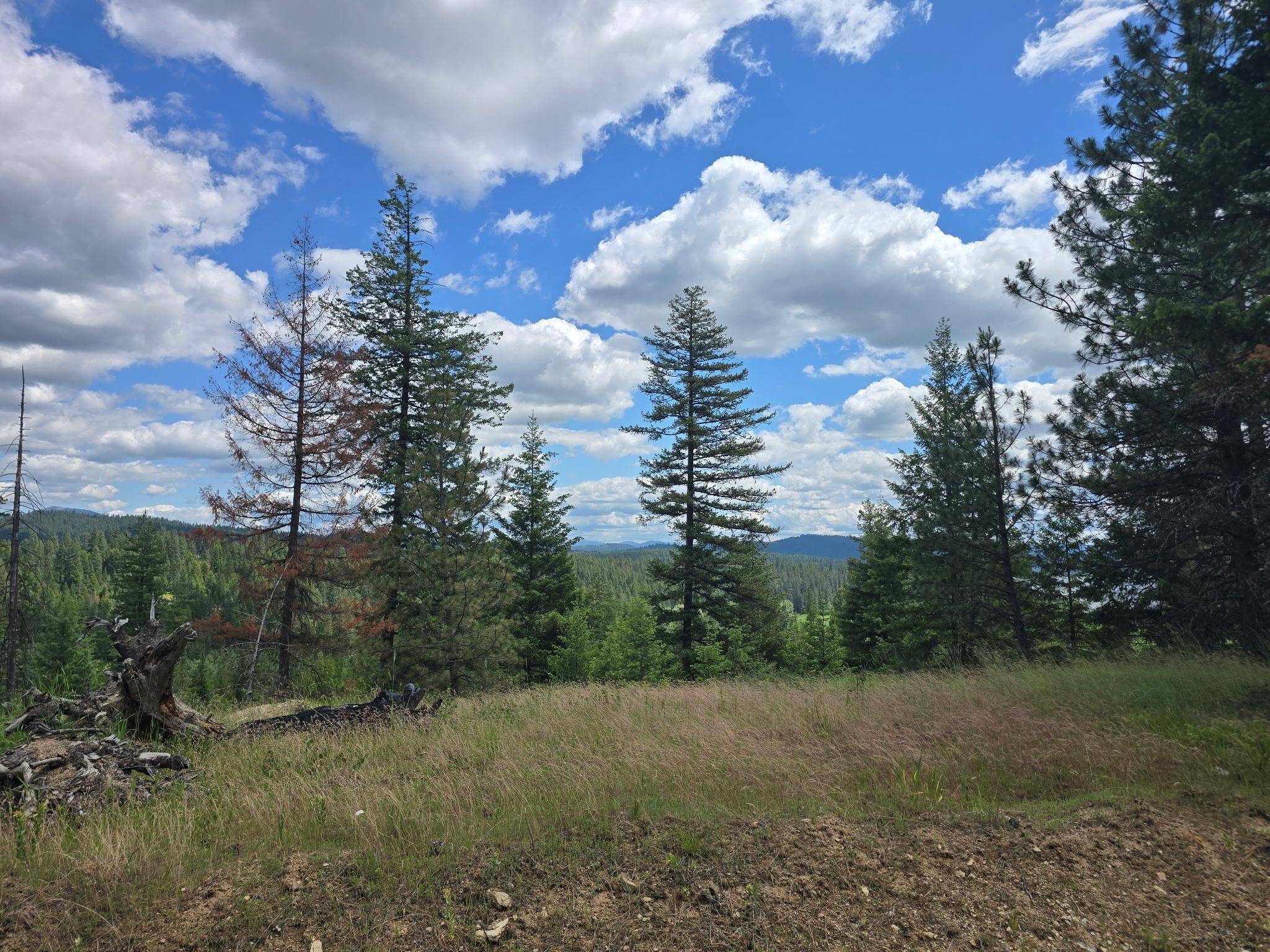20300 E Mountain View Rd, Newman Lake, WA 99025