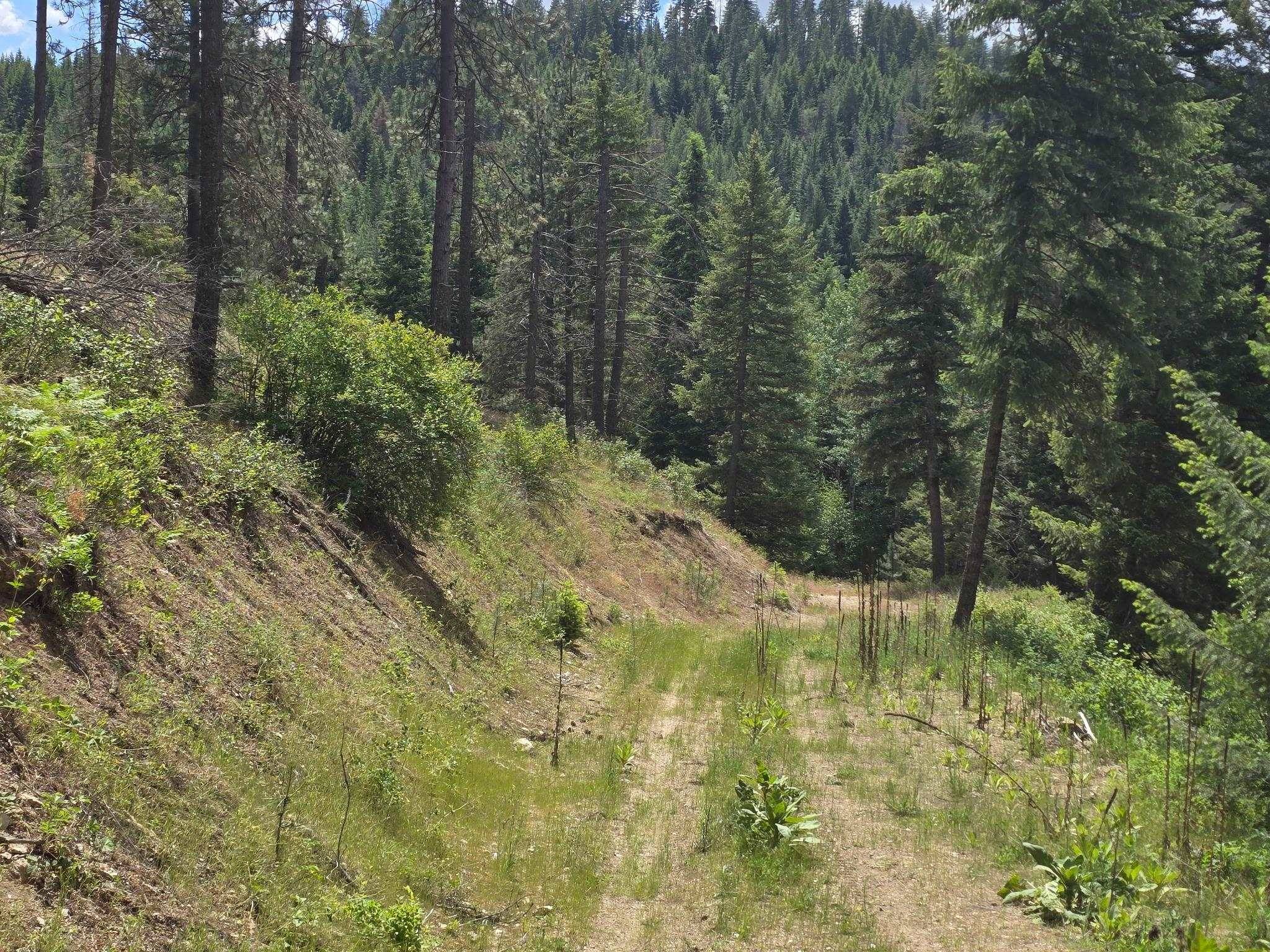 20300 E Mountain View Rd, Newman Lake, WA 99025