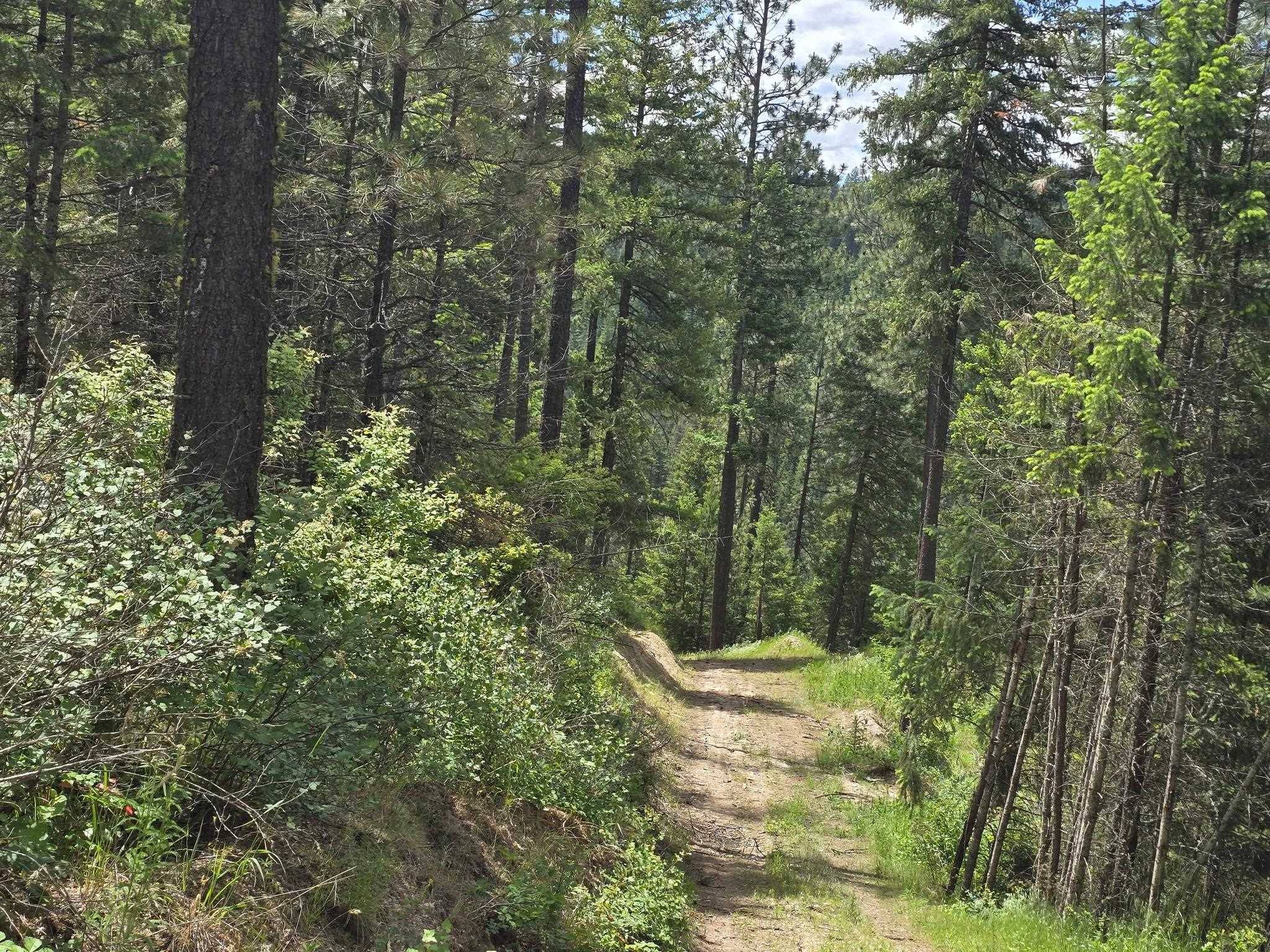20300 E Mountain View Rd, Newman Lake, WA 99025
