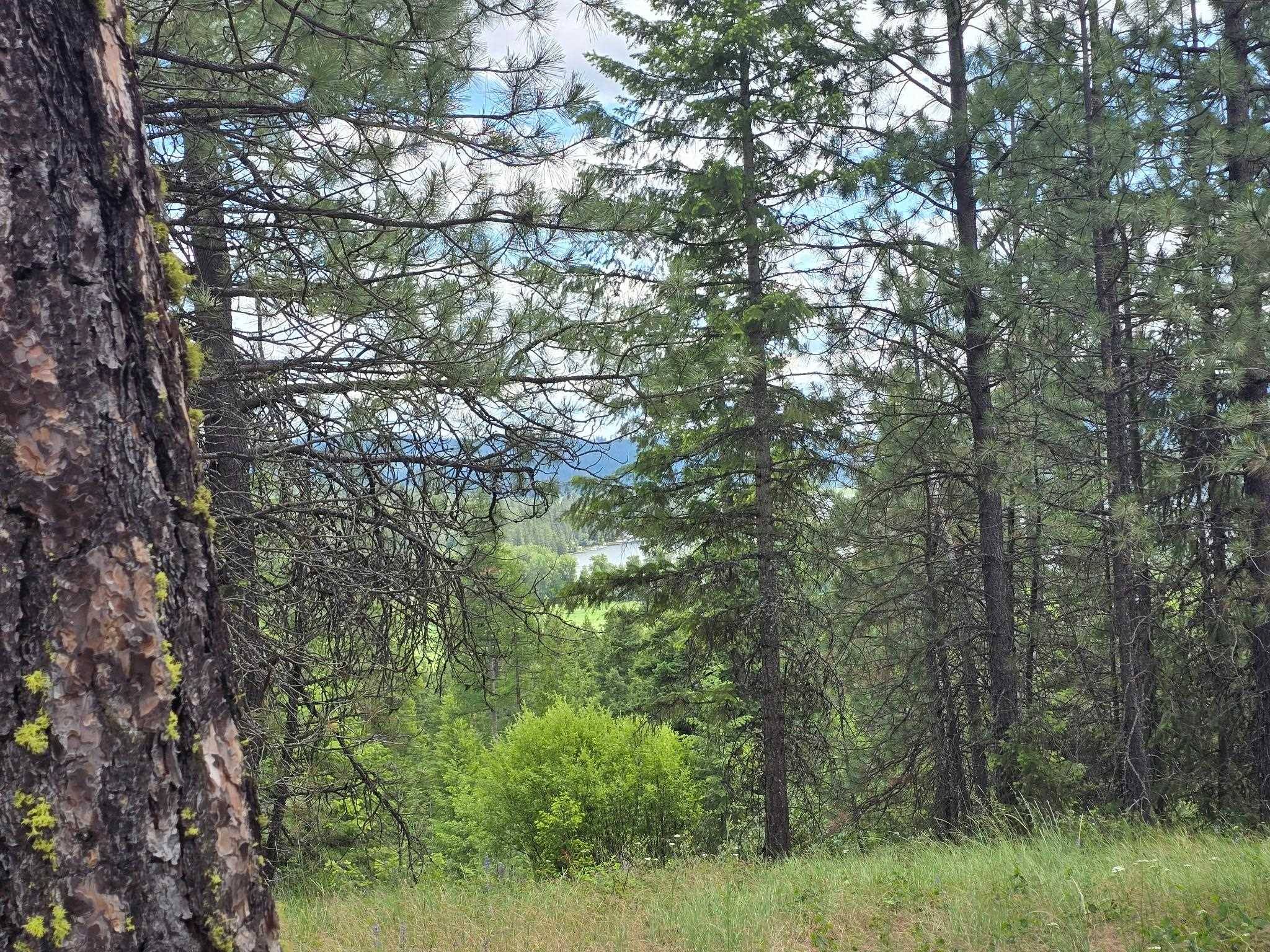 20300 E Mountain View Rd, Newman Lake, WA 99025