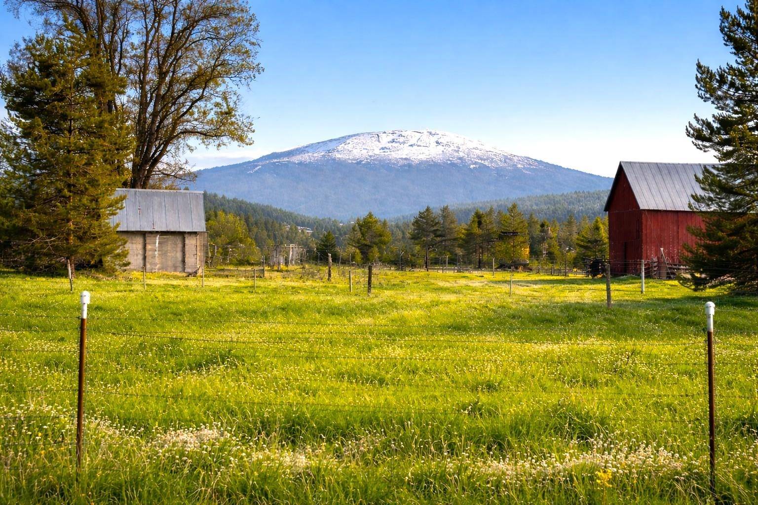 46XX Bittrich-Antler Rd, Deer Park, WA 99006